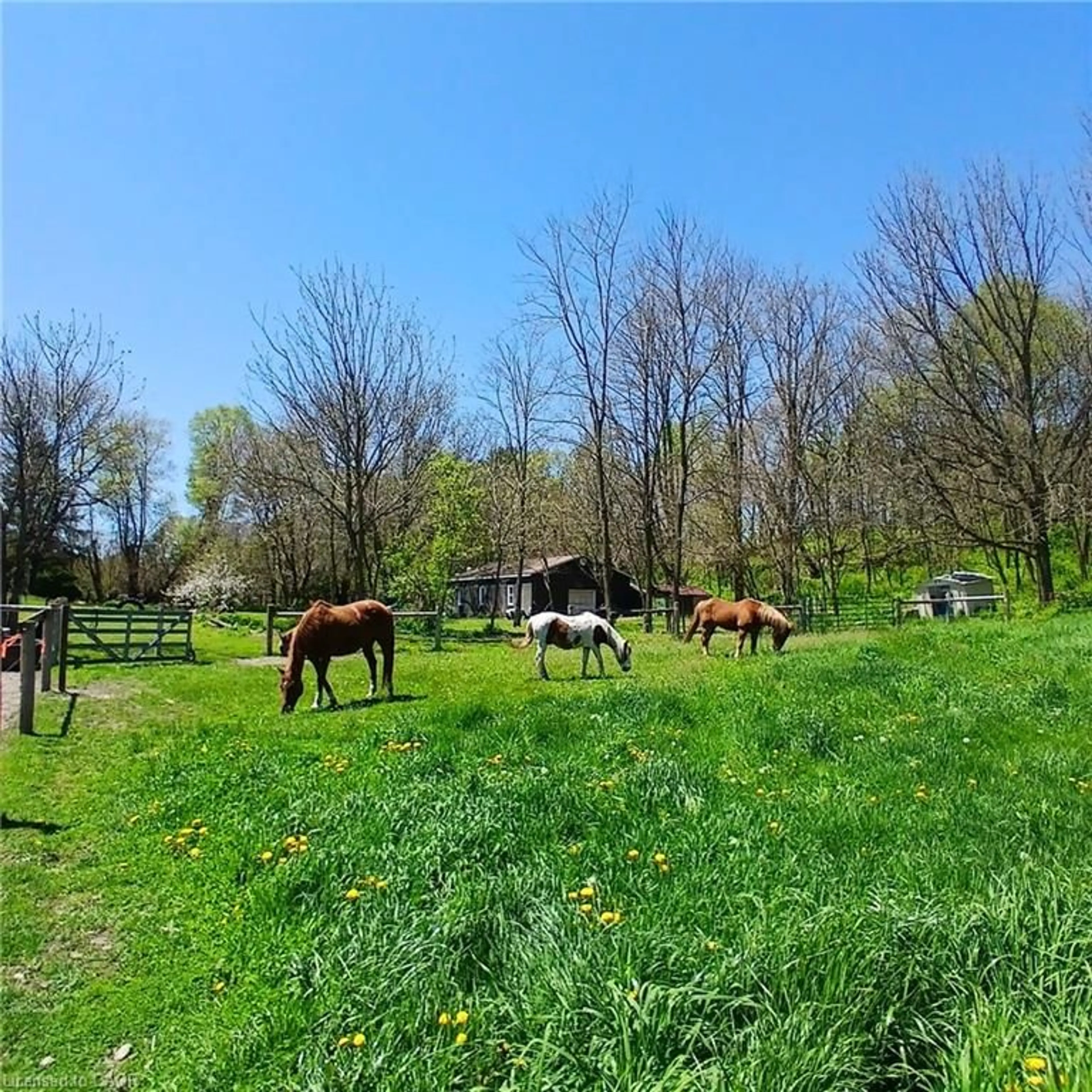 A pic from outside/outdoor area/front of a property/back of a property/a pic from drone, unknown for 535 Mcdowell Rd, Simcoe Ontario N3Y 4J9