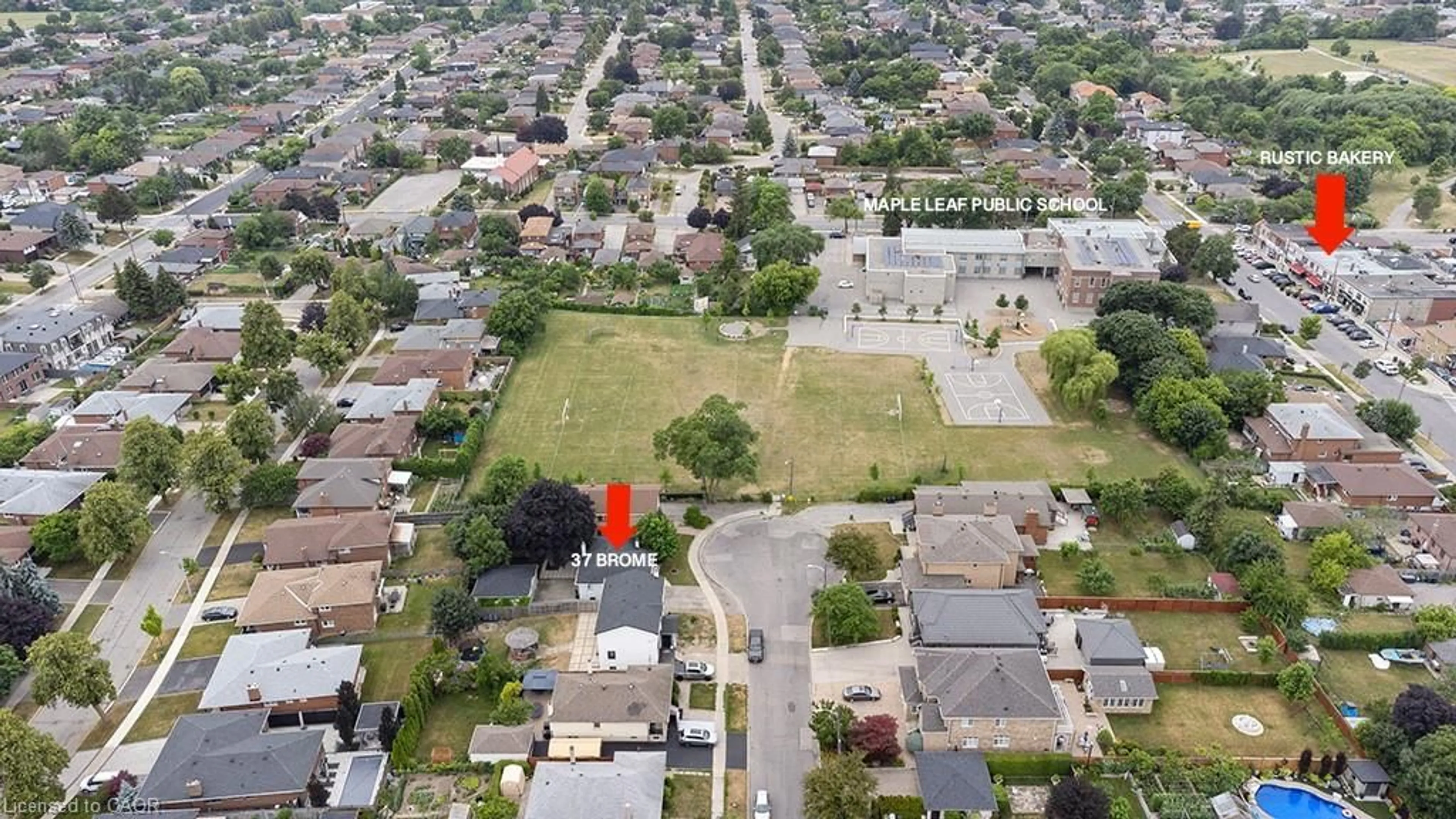 A pic from outside/outdoor area/front of a property/back of a property/a pic from drone, street for 37 Brome Rd, North York Ontario M6L 1T5