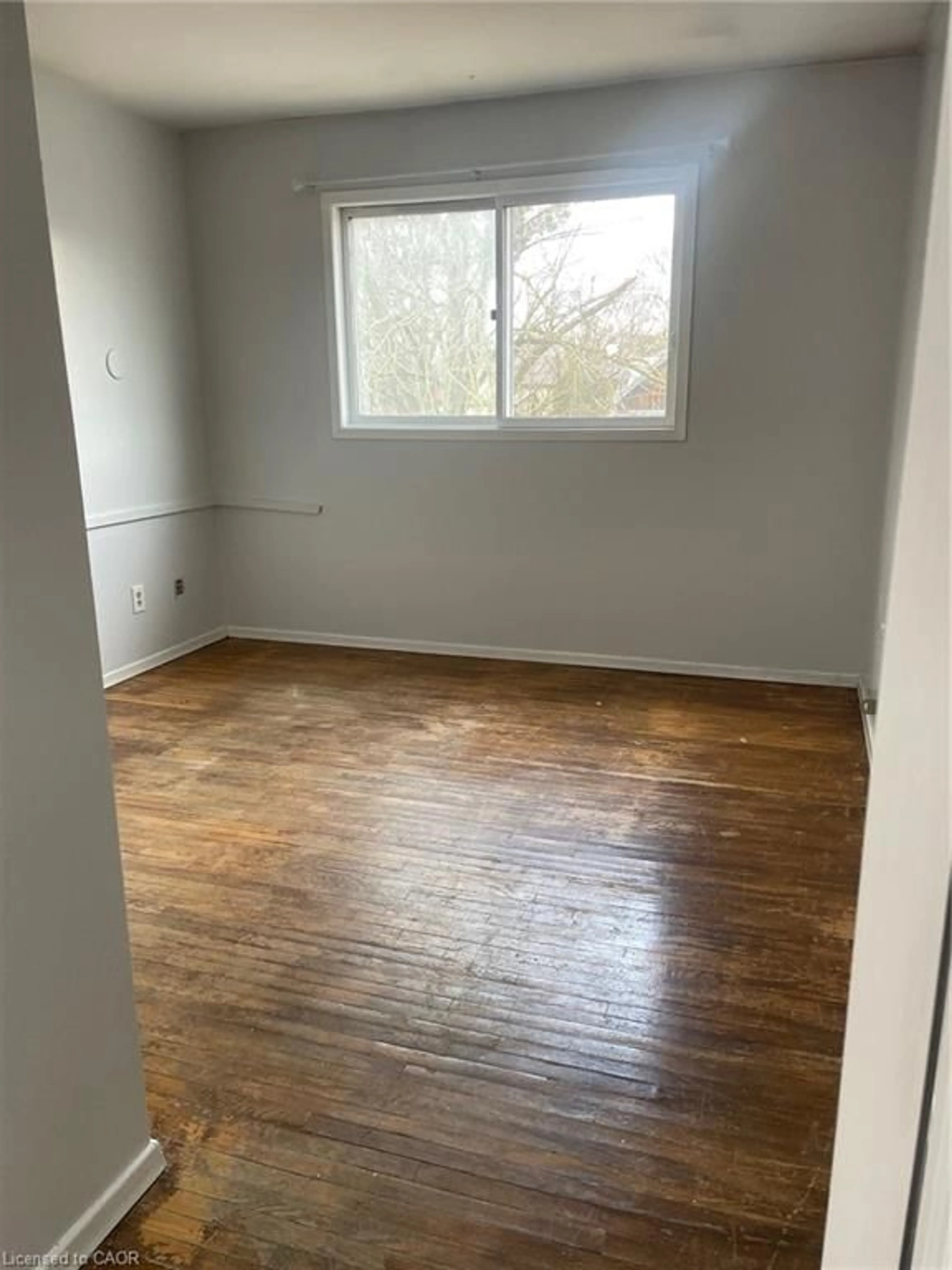 A pic of a room for 74 William St, Waterloo Ontario N2L 1J7