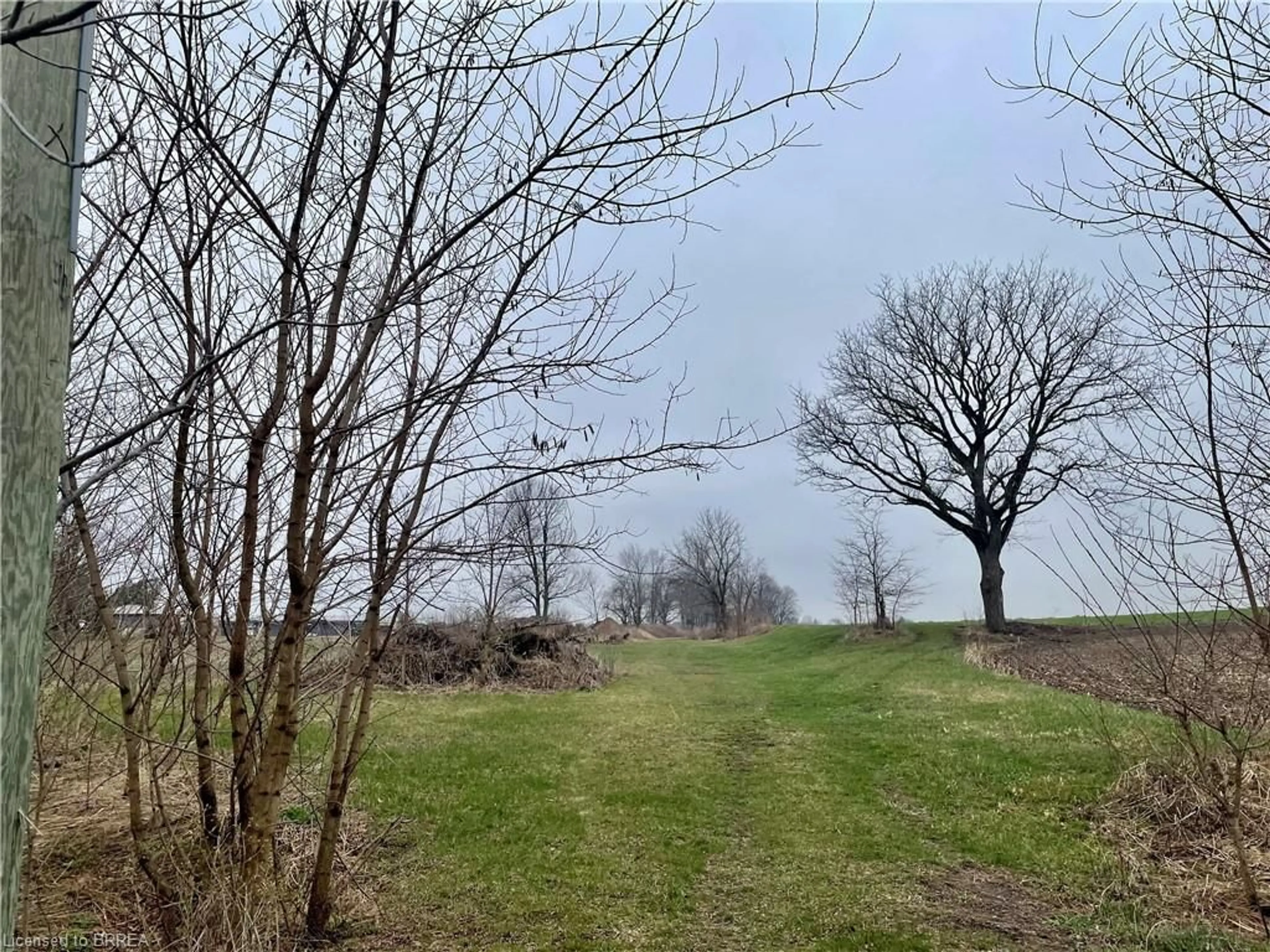 Blurry image for 161 Pleasant Ridge Rd, Brantford Ontario N3R 0B8