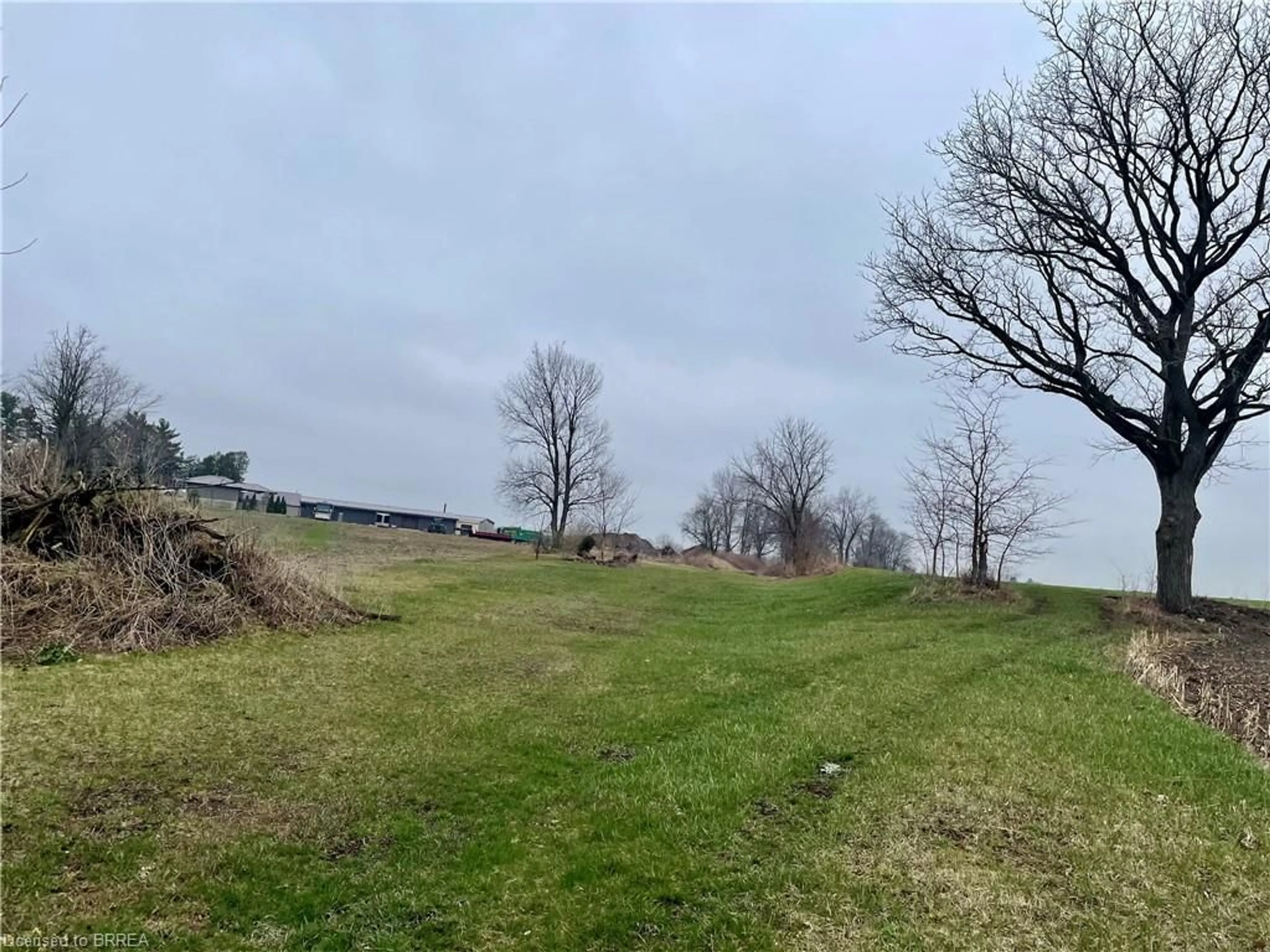 A pic from outside/outdoor area/front of a property/back of a property/a pic from drone, forest/trees view for 161 Pleasant Ridge Rd, Brantford Ontario N3R 0B8