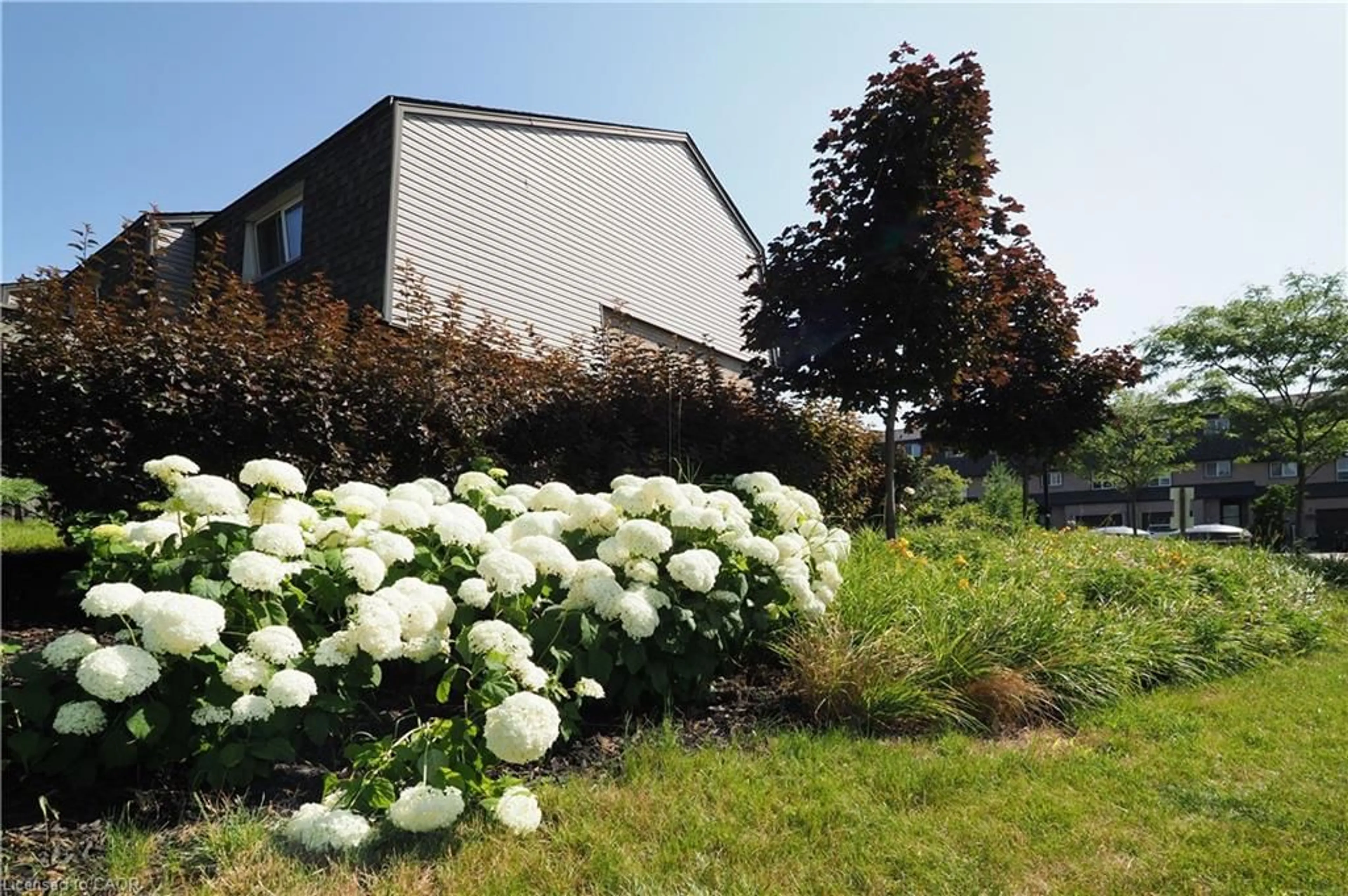 Patio, street for 138 Blackhorne Dr #01, Kitchener Ontario N2E 1Z3