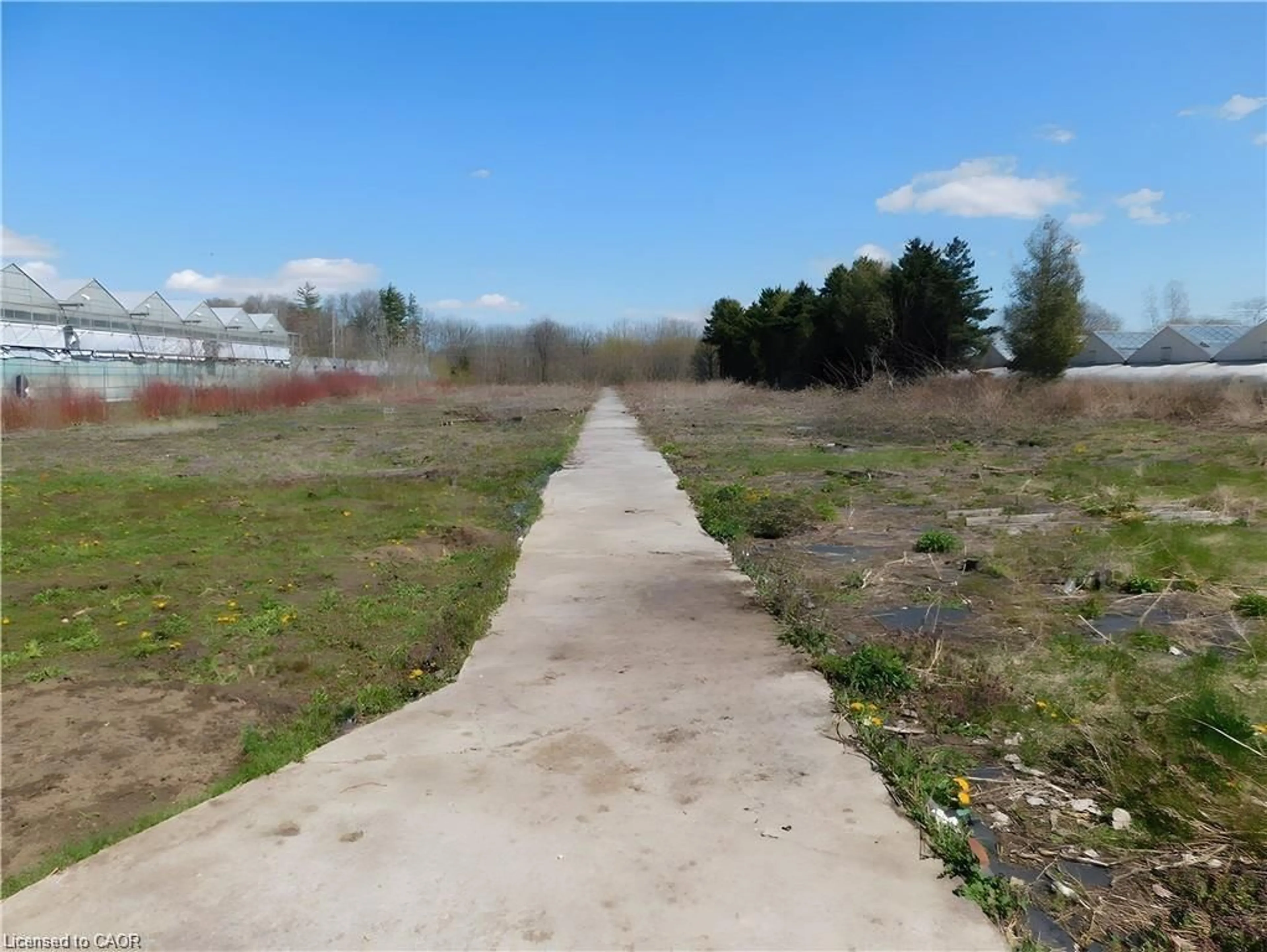 Blurry image for 2474 Highway 24, Norfolk County Ontario N3Y 4K3