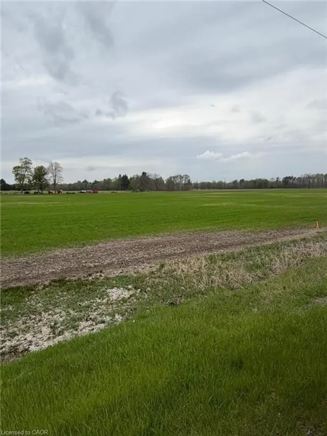 4929 Highway 59 #LOT B, Courtland 3