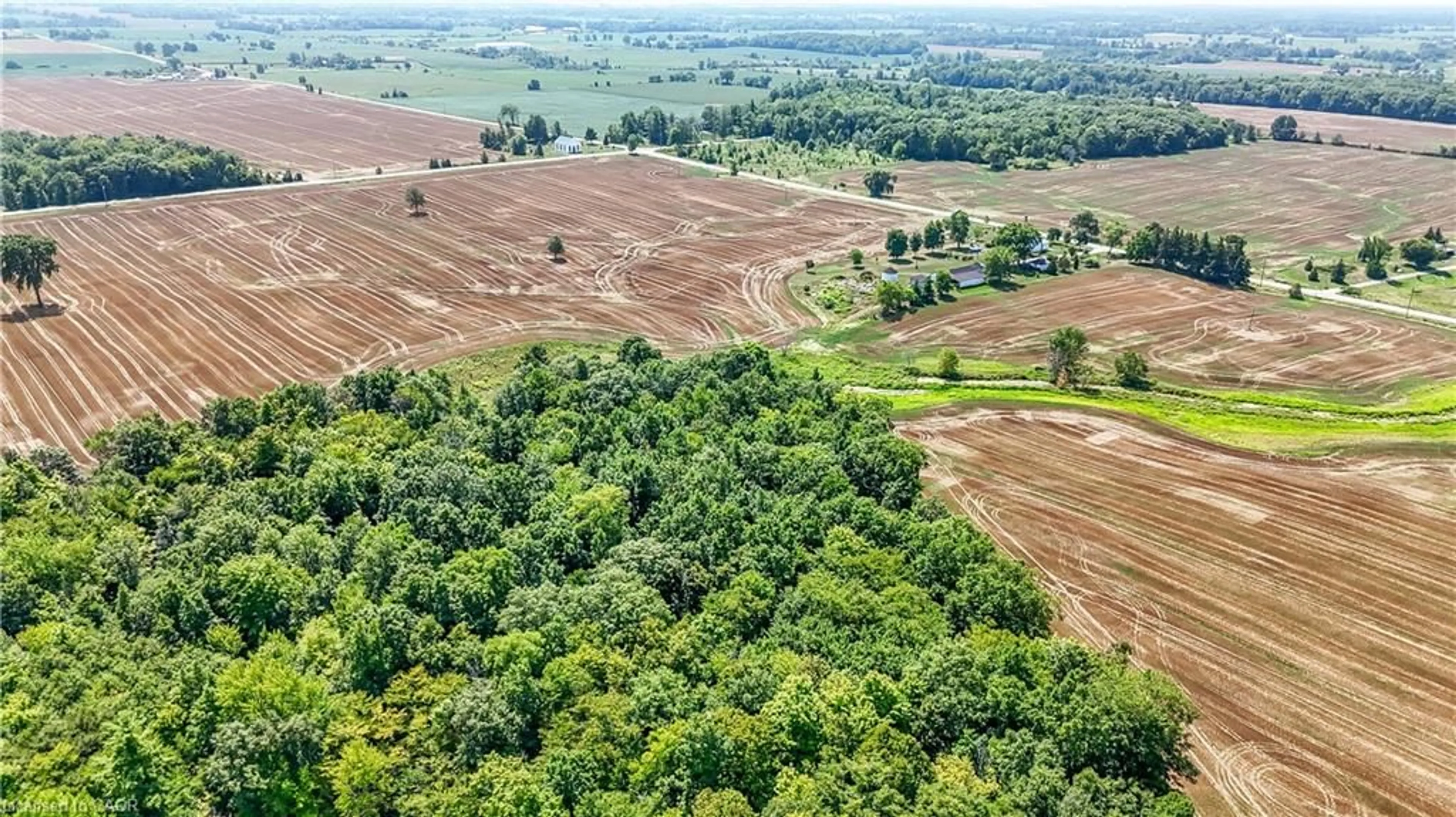 A pic from outside/outdoor area/front of a property/back of a property/a pic from drone, forest/trees view for 304 Turnbull Rd, Canfield Ontario N0A 1C0