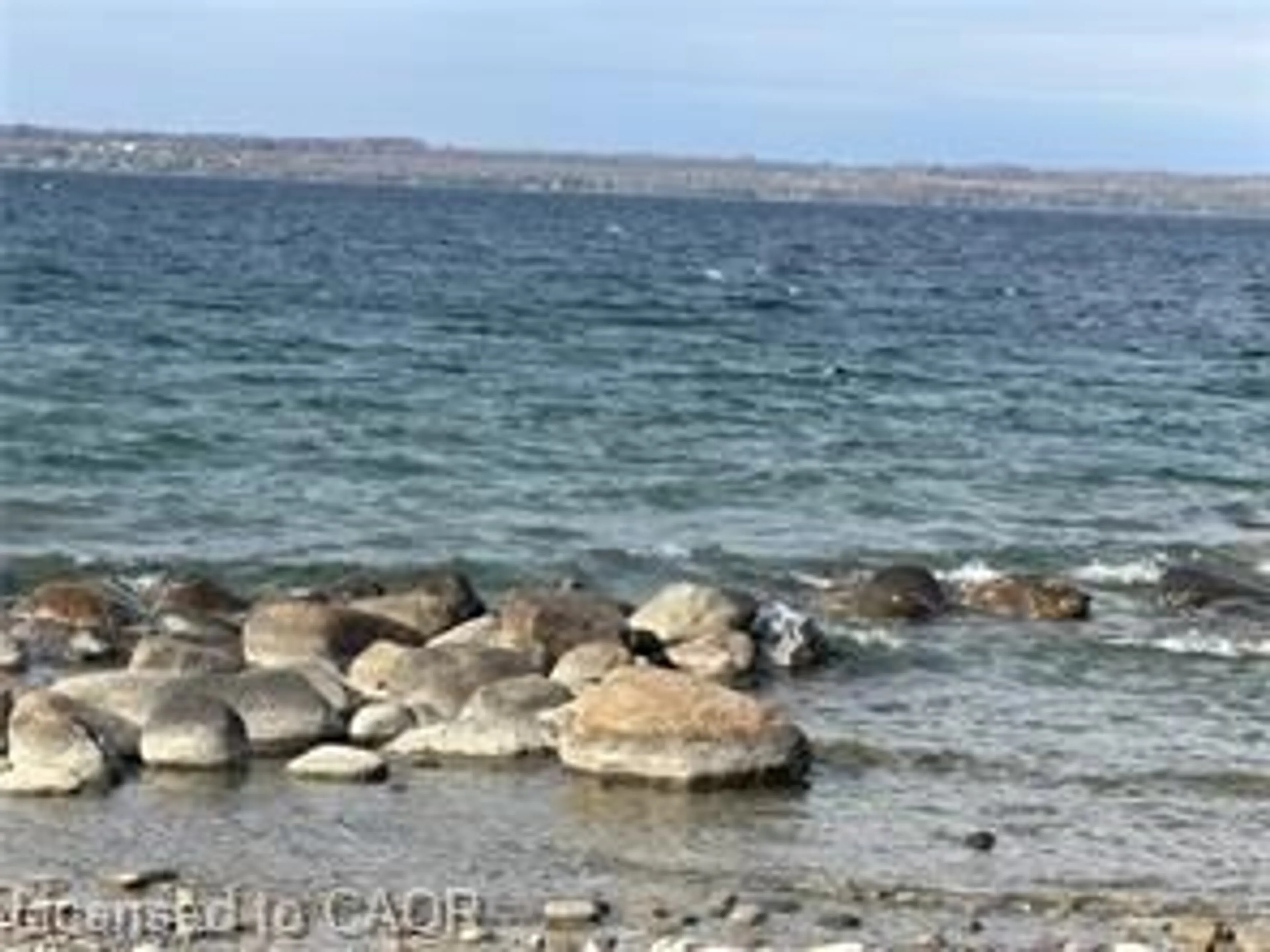 Blurry image for LOT 13 Ashgrove Lane, Meaford Ontario N0H 1B0