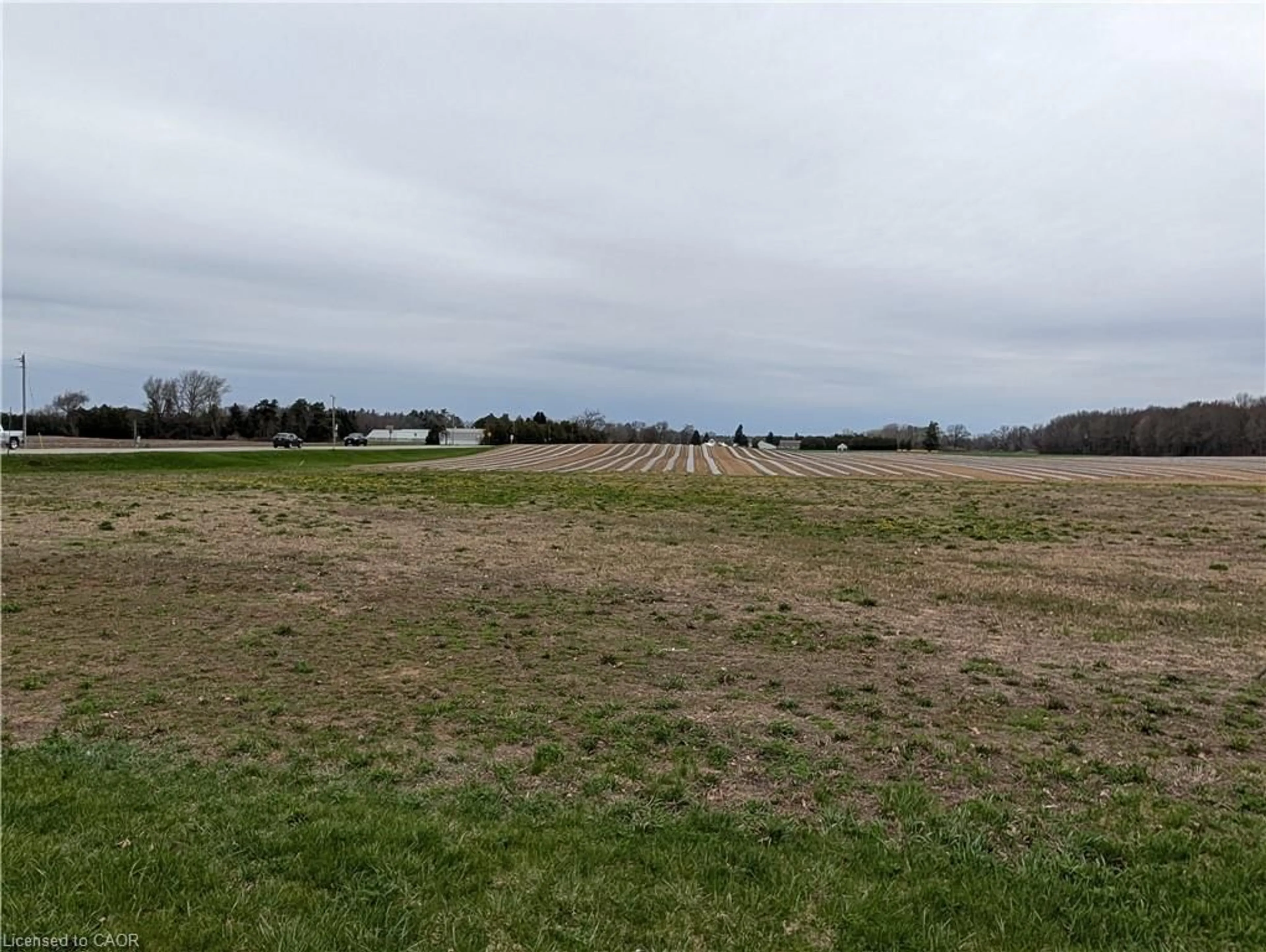 Unknown for LOT 1 Norfolk County Rd 21, Delhi Ontario N4B 2W4