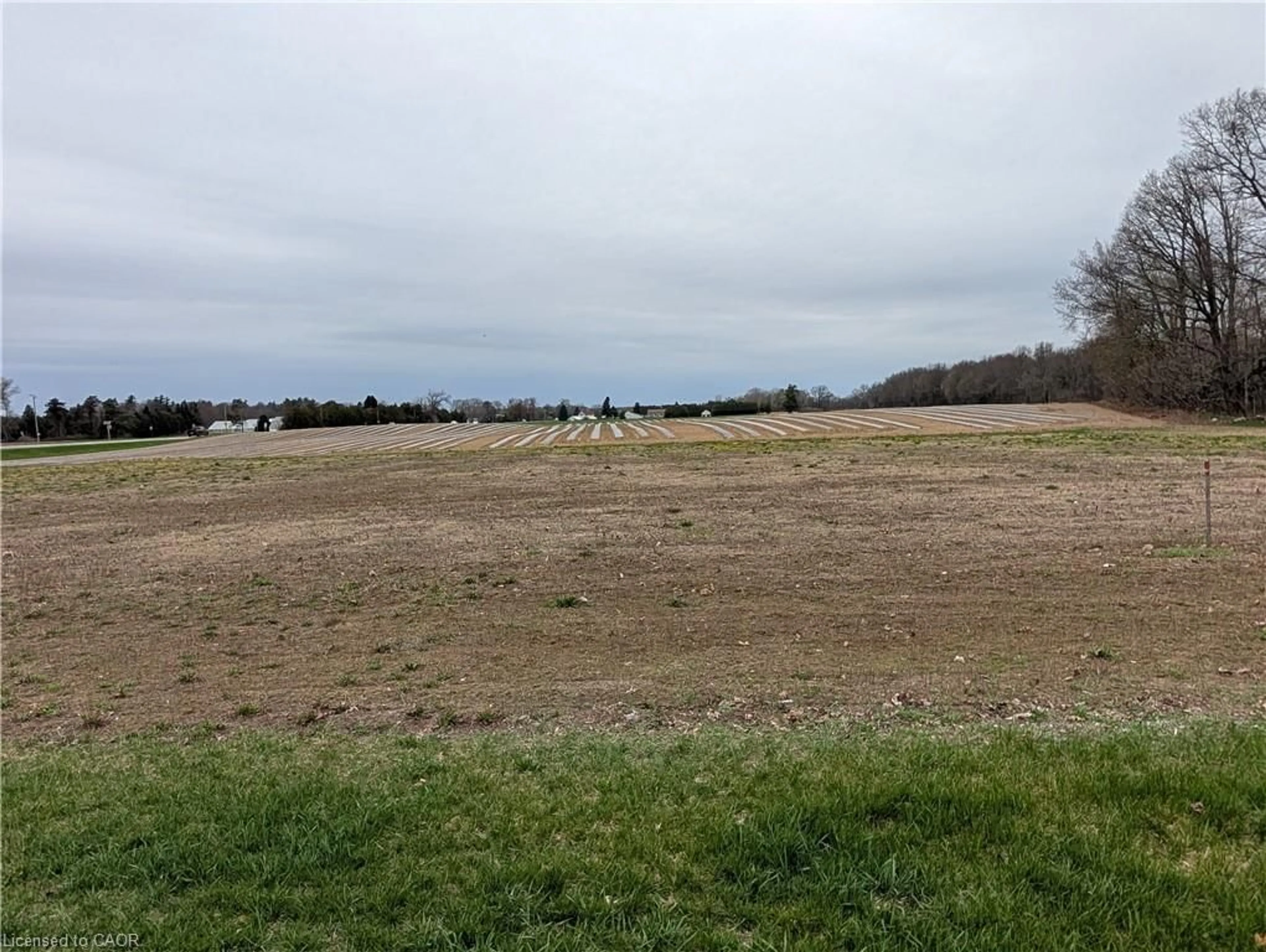 A pic from outside/outdoor area/front of a property/back of a property/a pic from drone, water/lake/river/ocean view for LOT 3 Norfolk County Rd 21, Delhi Ontario N4B 2W4