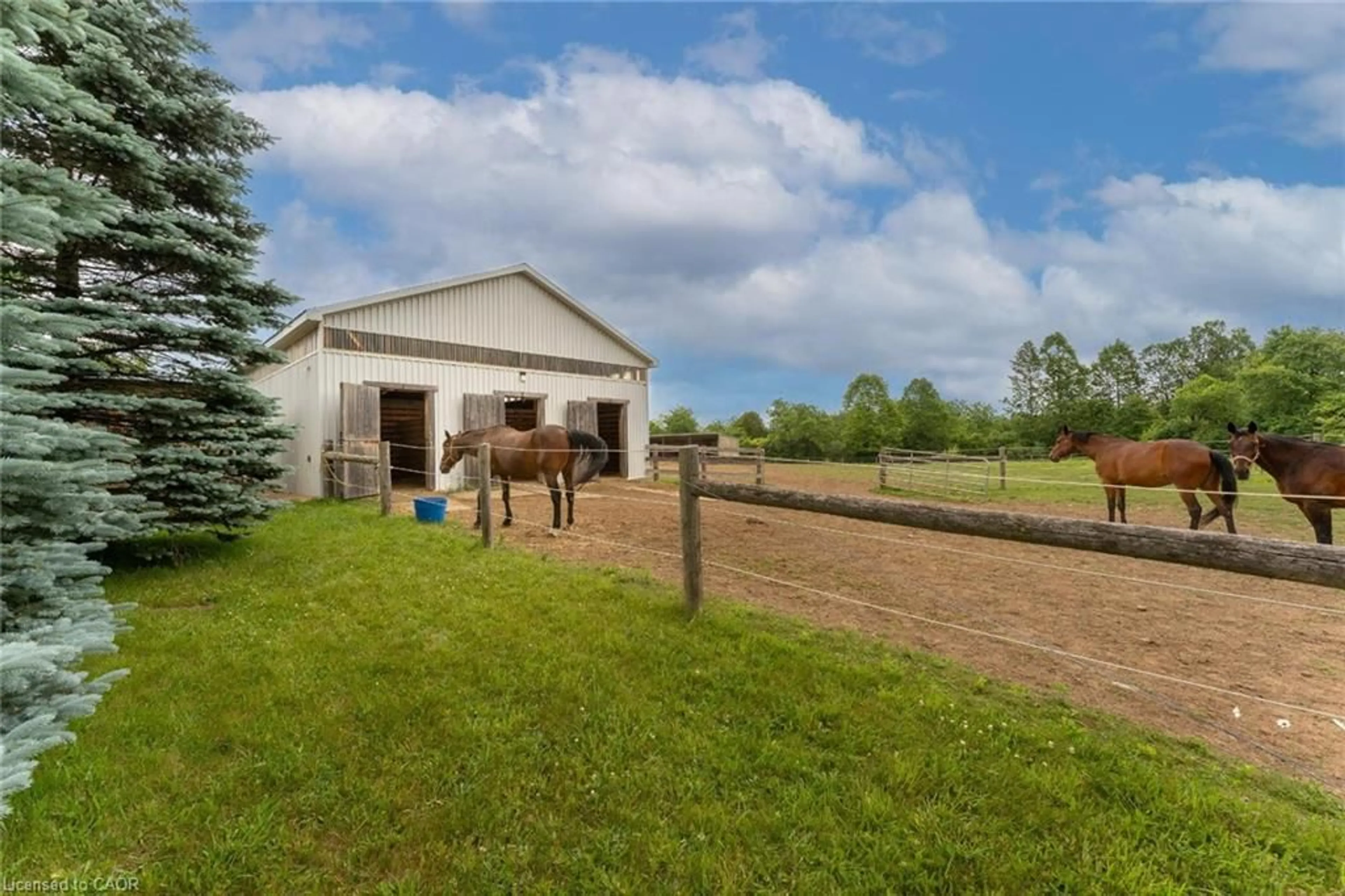 Shed for 3988 Hwy 6, Puslinch Ontario N0B 2J0