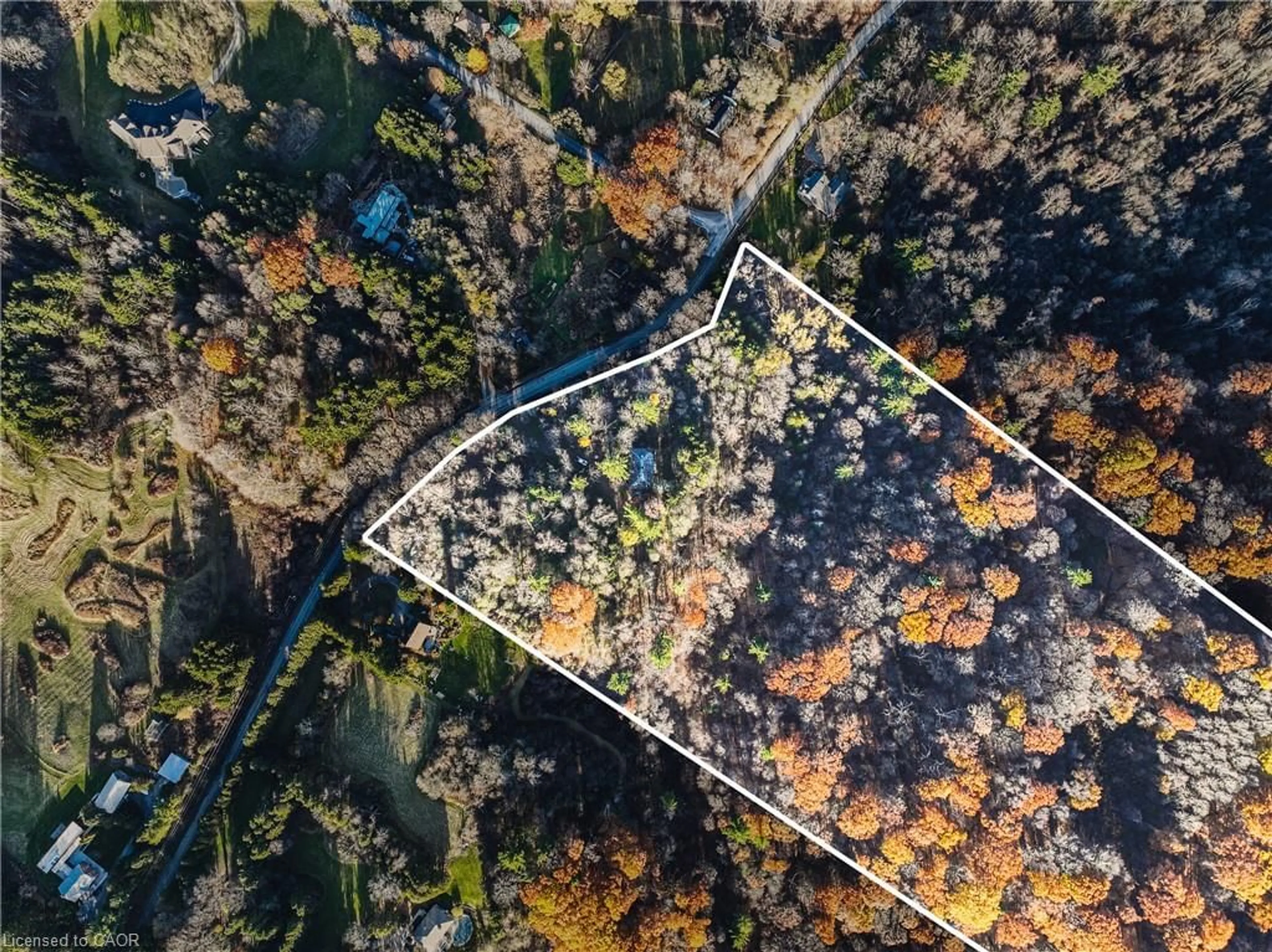 A pic from outside/outdoor area/front of a property/back of a property/a pic from drone, forest/trees view for 1296 Mineral Springs Rd, Ancaster Ontario L9H 5E3