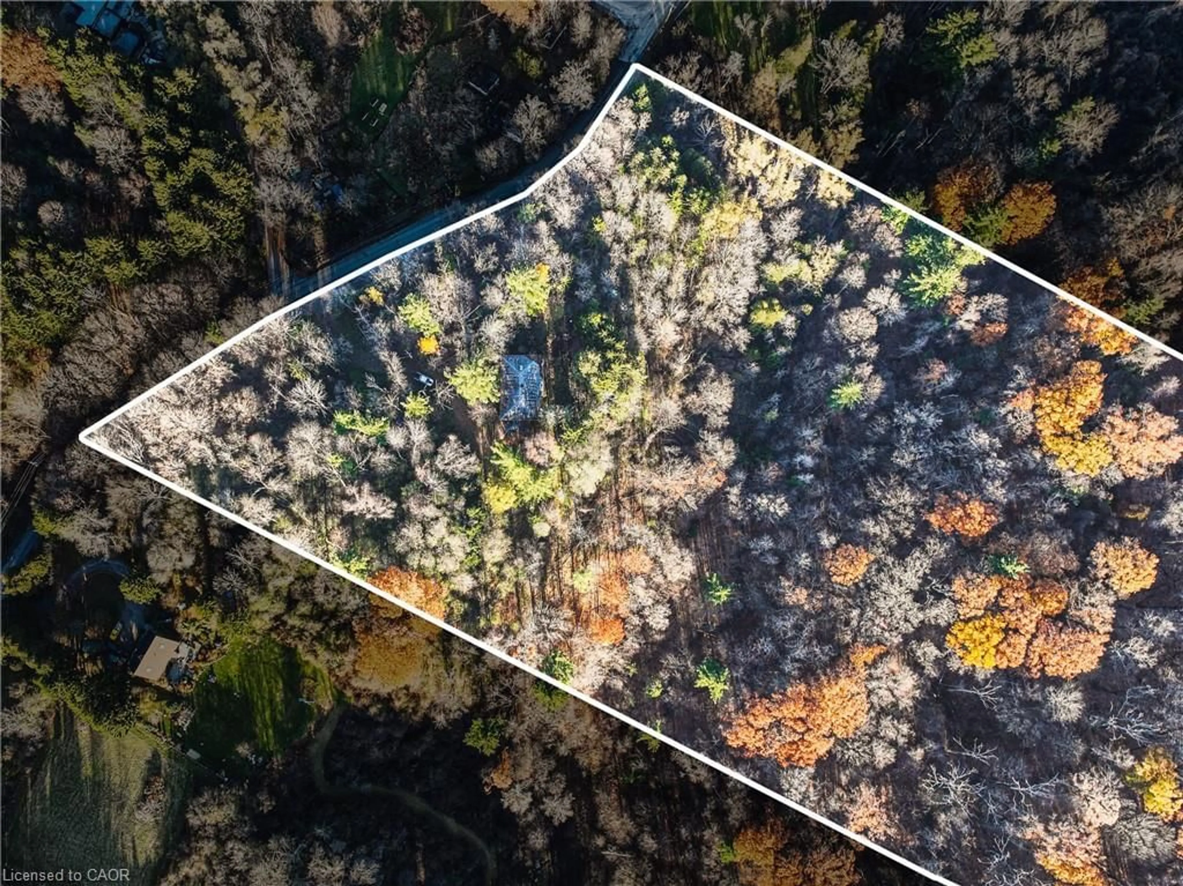 A pic from outside/outdoor area/front of a property/back of a property/a pic from drone, forest/trees view for 1296 Mineral Springs Rd, Ancaster Ontario L9H 5E3
