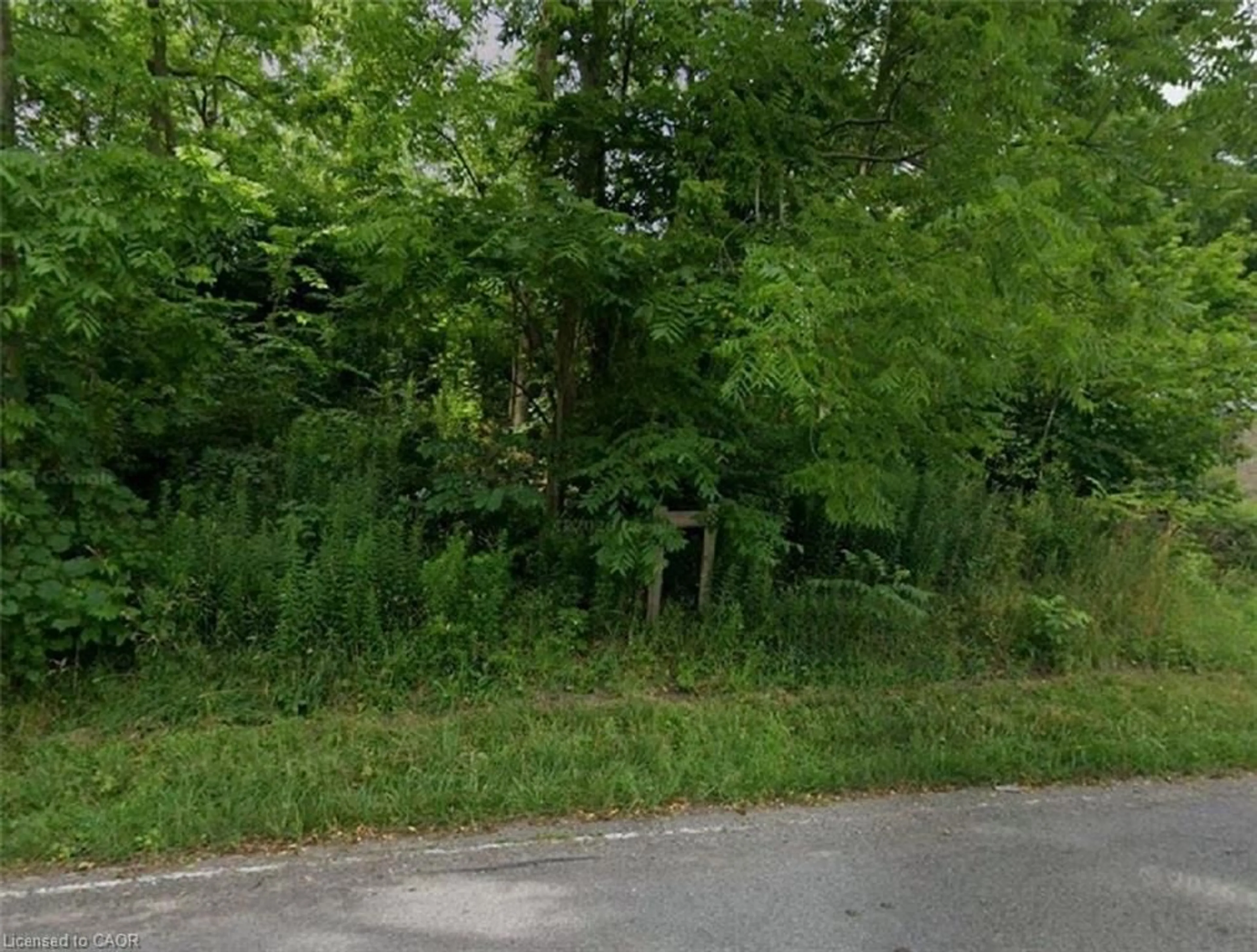 Blurry image for 37 Bradley St, St. Catharines Ontario L7T 1R5