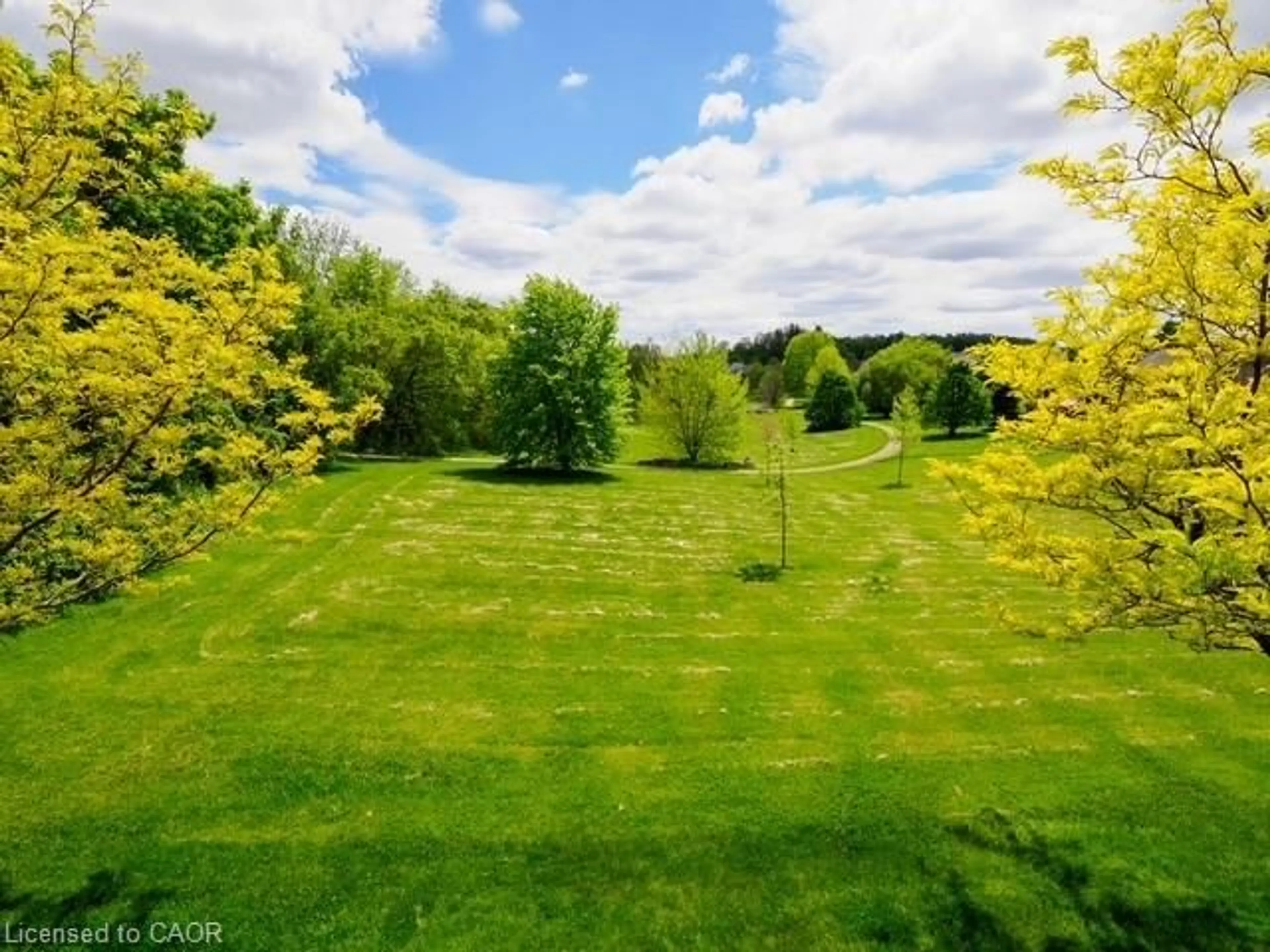 A pic from outside/outdoor area/front of a property/back of a property/a pic from drone, forest/trees view for 409 Queen St #8, Simcoe Ontario N3Y 0A1