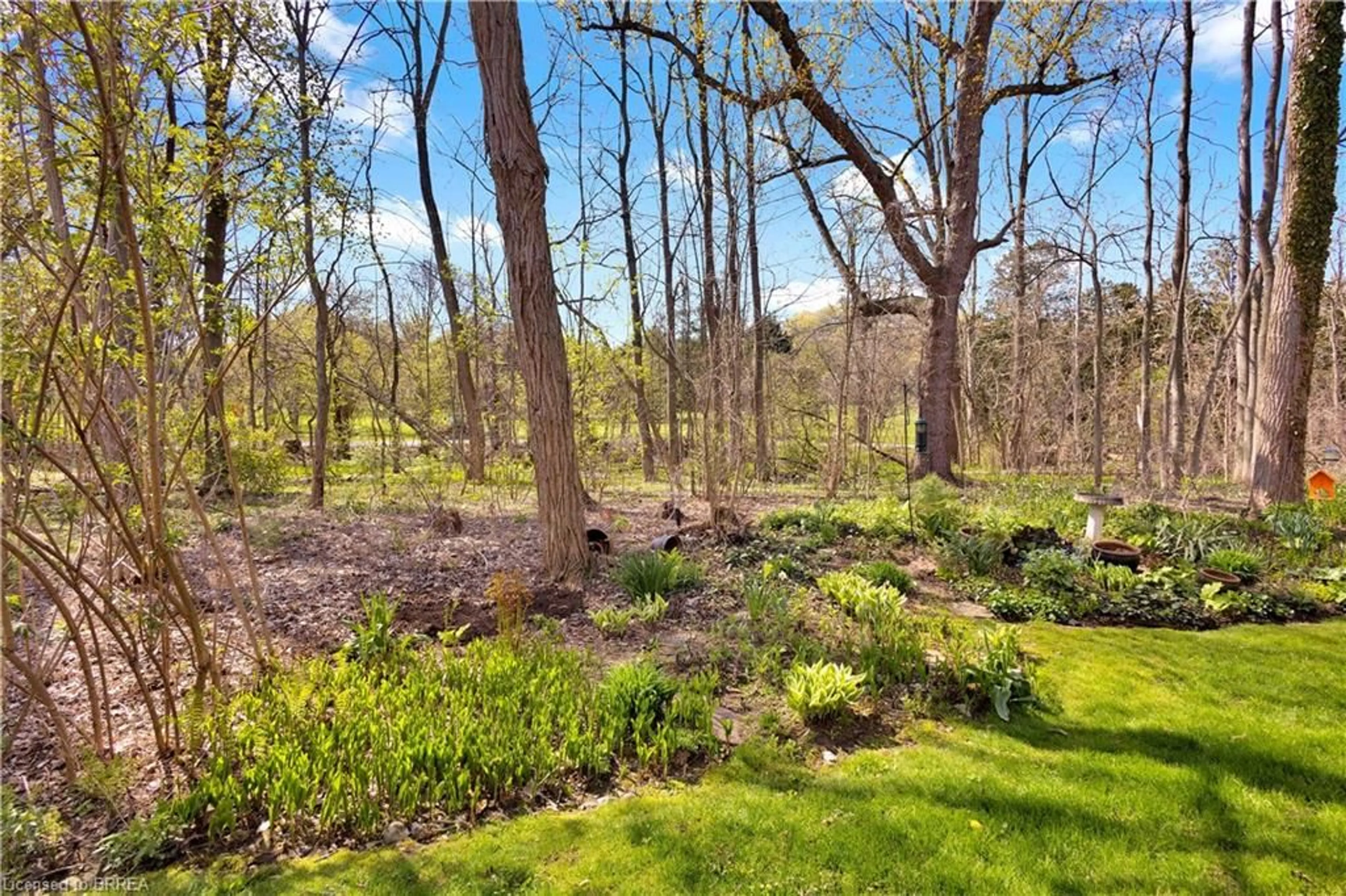Patio, forest/trees view for 120 Beddoe Dr #6, Hamilton Ontario L8P 4Z4