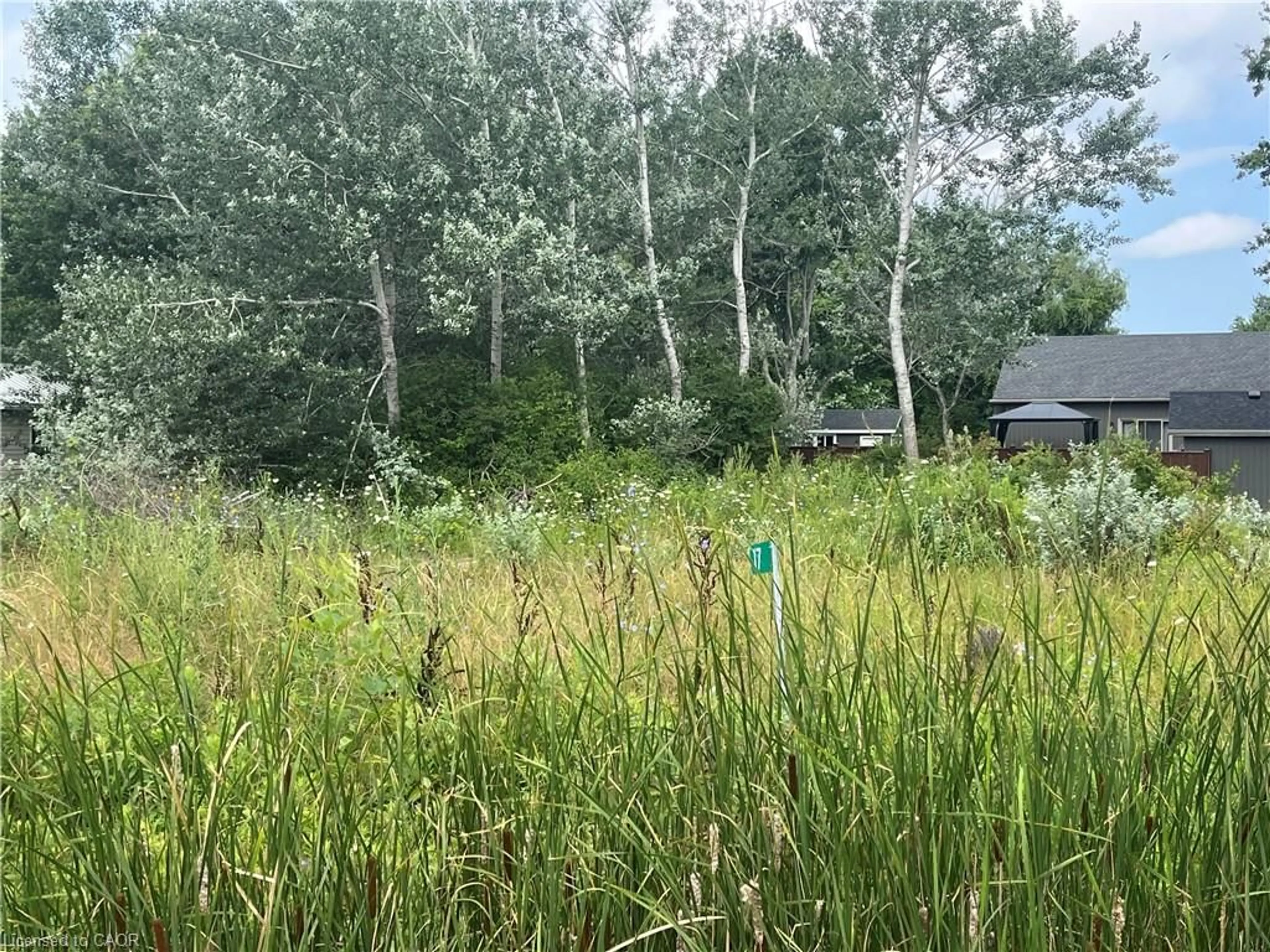 Unknown for 17 Dickhout Rd, Dunnville Ontario N0A 1K0