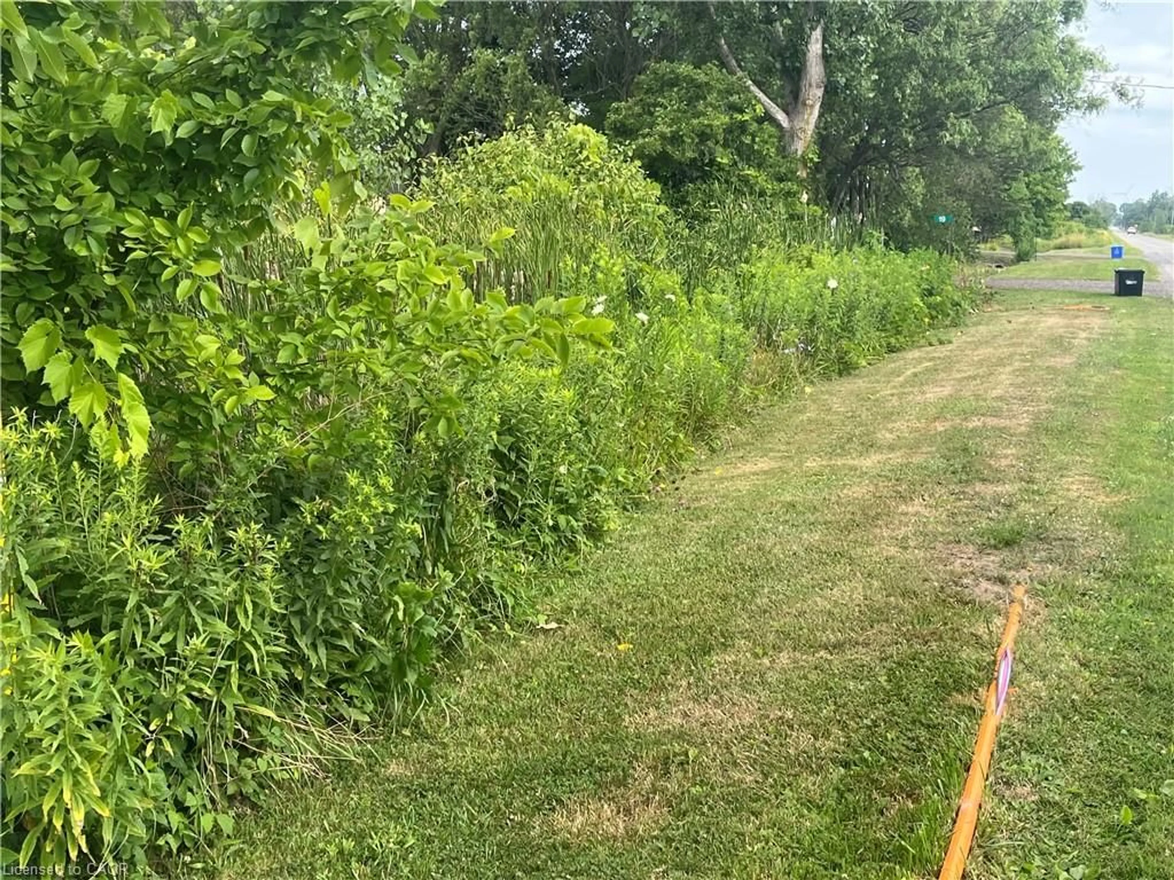 A pic from outside/outdoor area/front of a property/back of a property/a pic from drone, forest/trees view for 17 Dickhout Rd, Dunnville Ontario N0A 1K0