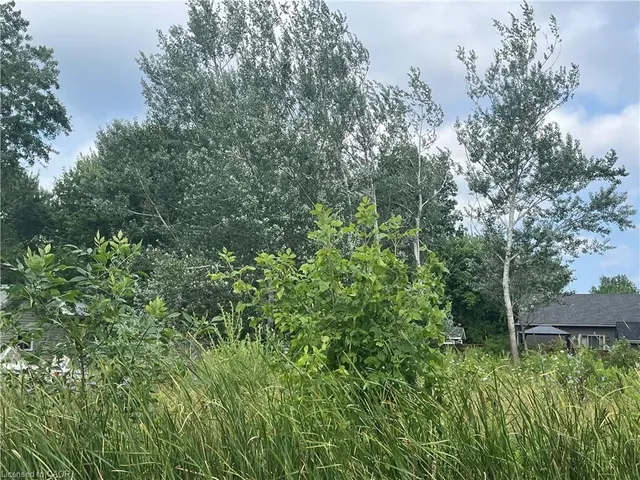 17 Dickhout Rd, Dunnville 5