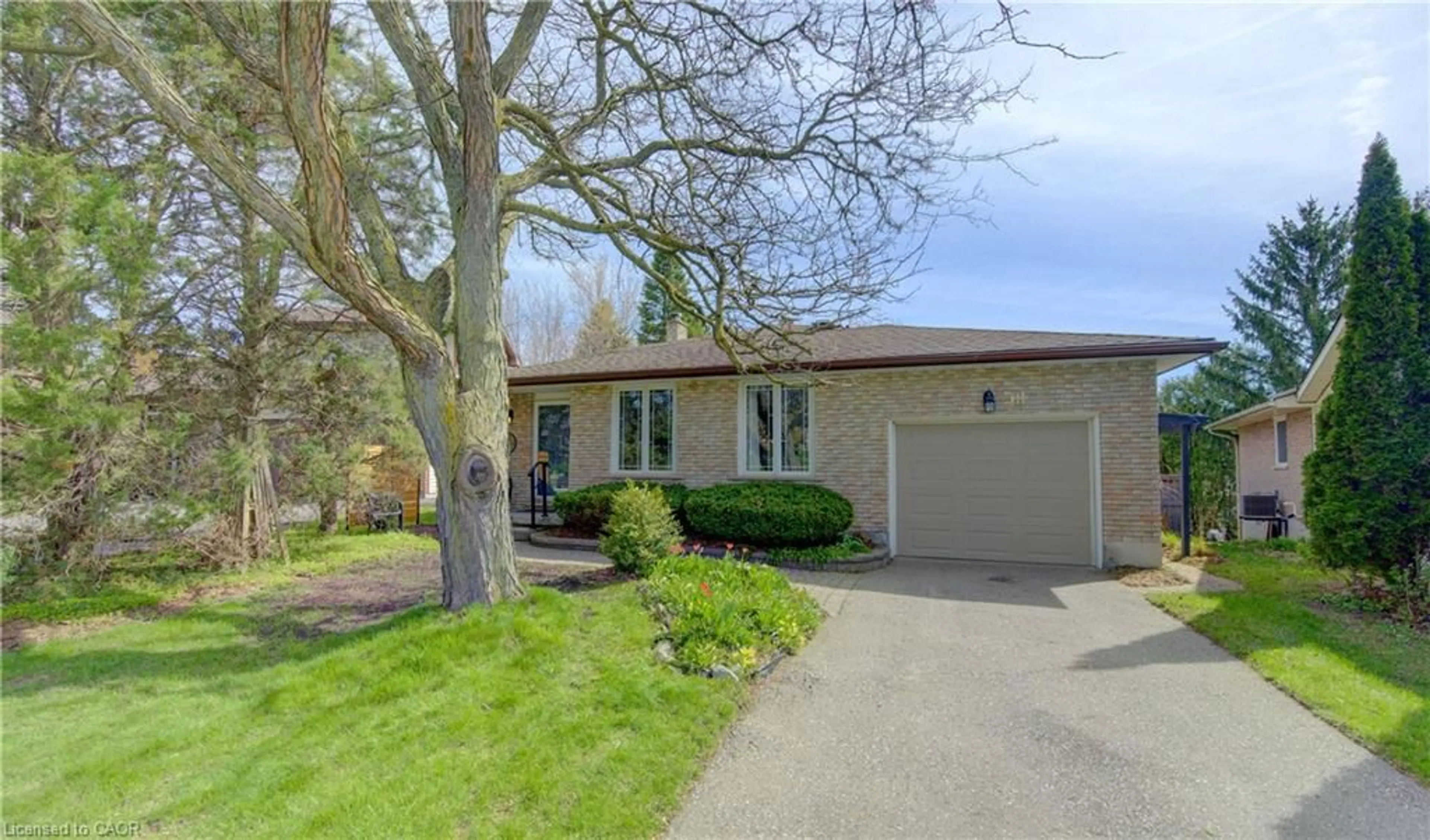 Unknown for 18 Ripley Cres, Kitchener Ontario N2N 1V4