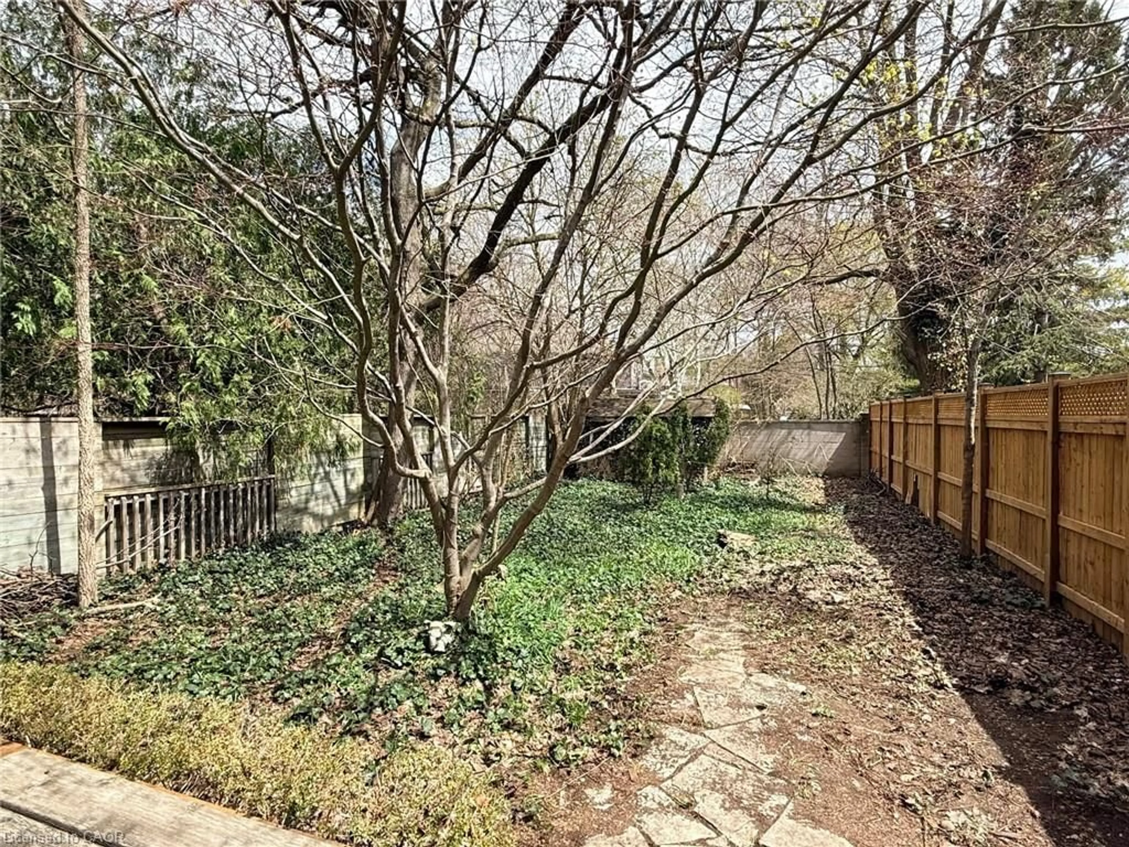 A pic from outside/outdoor area/front of a property/back of a property/a pic from drone, forest/trees view for 802 Waterloo St, London Ontario N6A 3W4