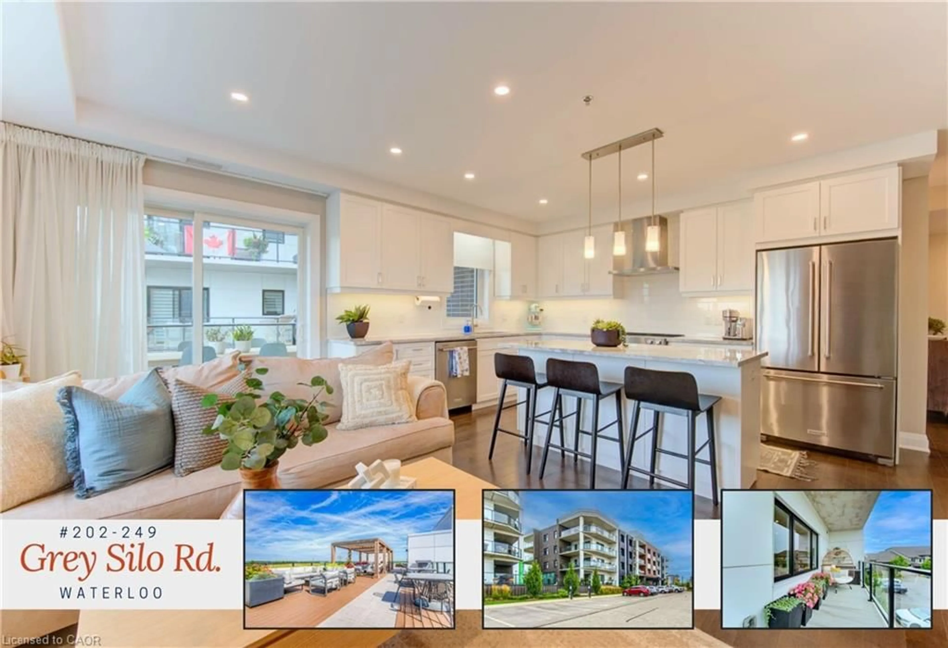 Open concept kitchen, wood/laminate floor for 249 Grey Silo Rd #202, Waterloo Ontario N2K 0G8