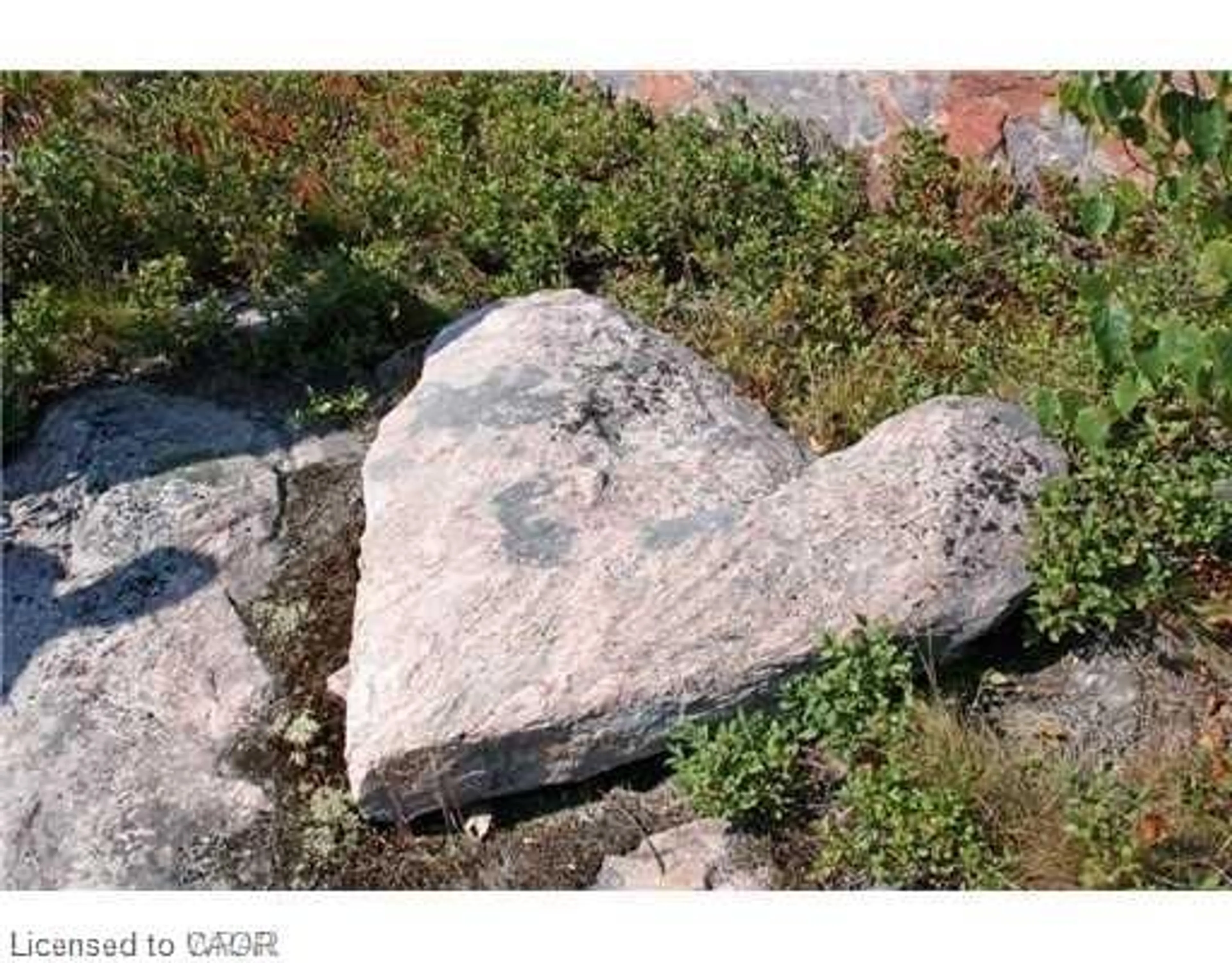 Blurry image for 3351 Miller Island, French River Ontario P0M 1A0