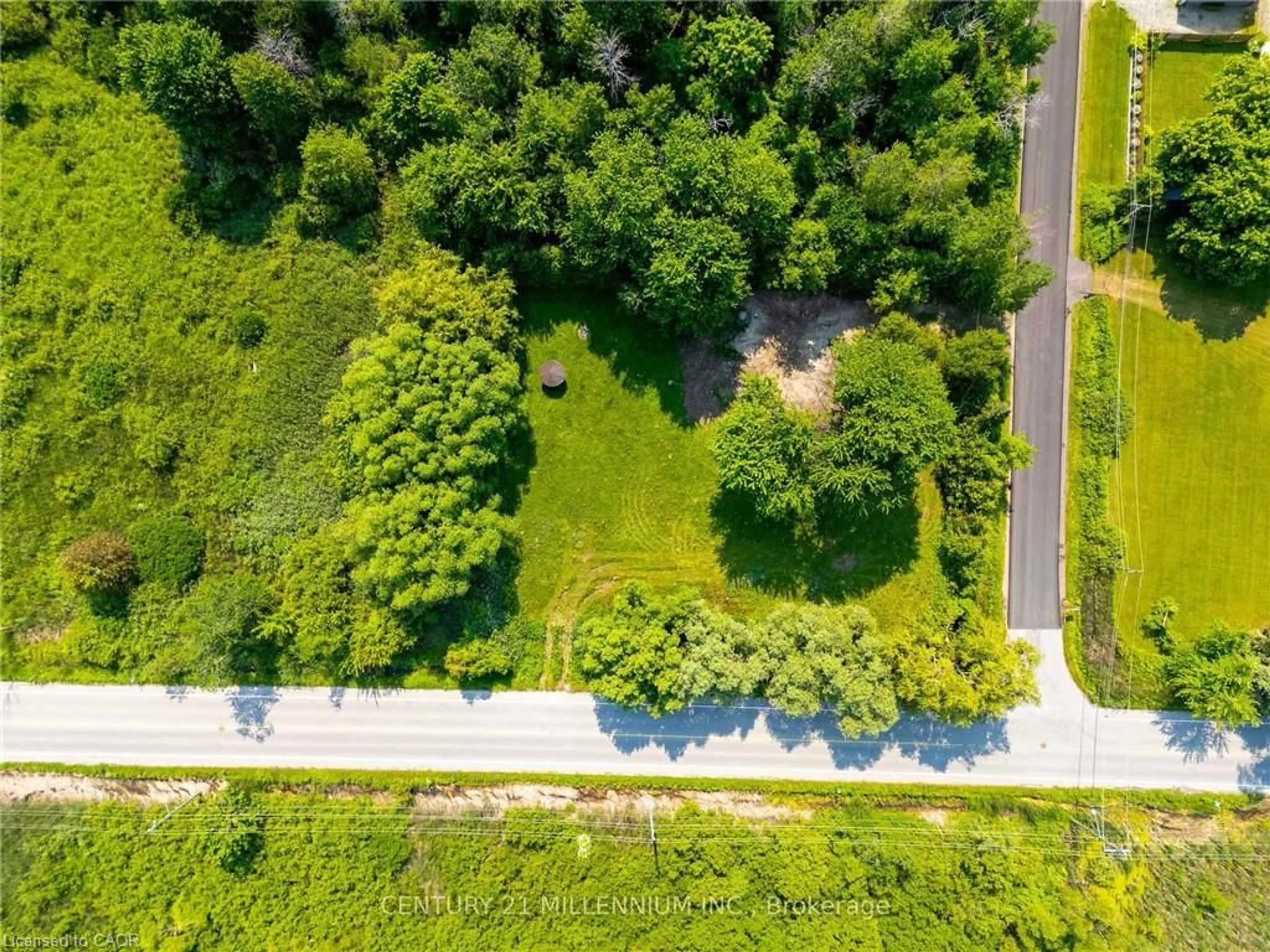 A pic from outside/outdoor area/front of a property/back of a property/a pic from drone, forest/trees view for 1027 Chapman St, Innisfil Ontario L0L 1W0
