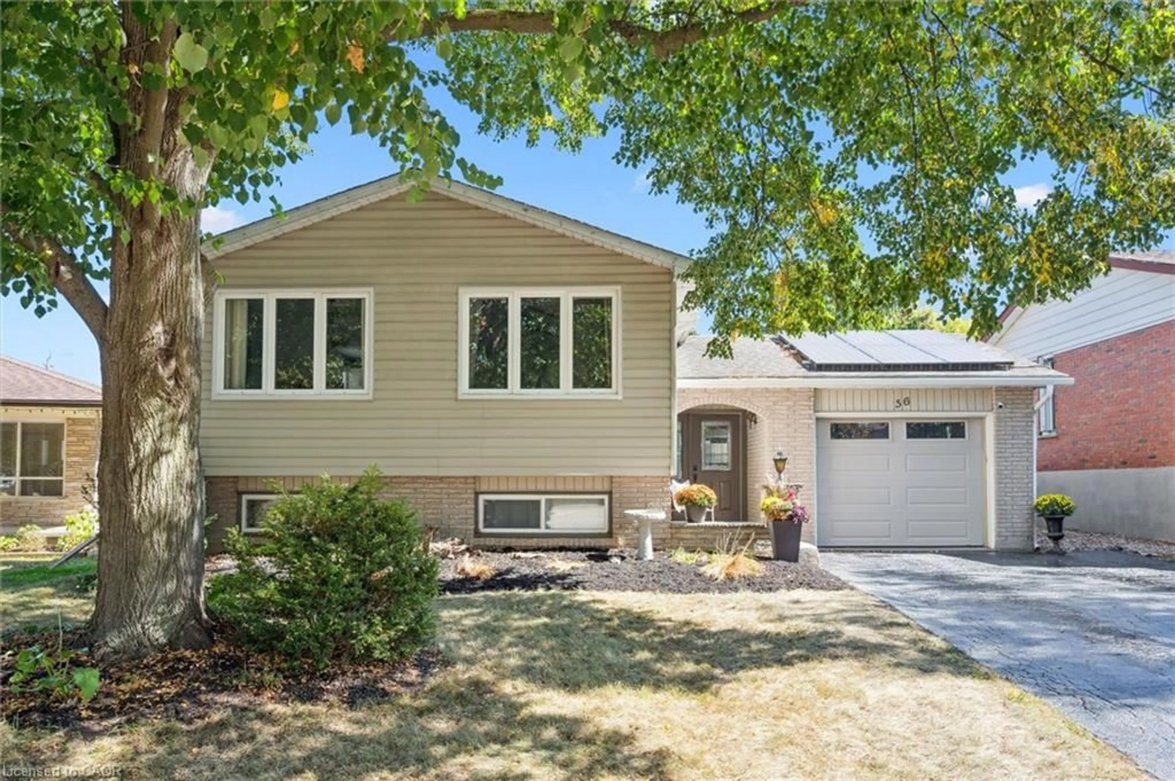 Home with vinyl exterior material, street for 56 Wordsworth Pl, Kitchener Ontario N2B 3L1