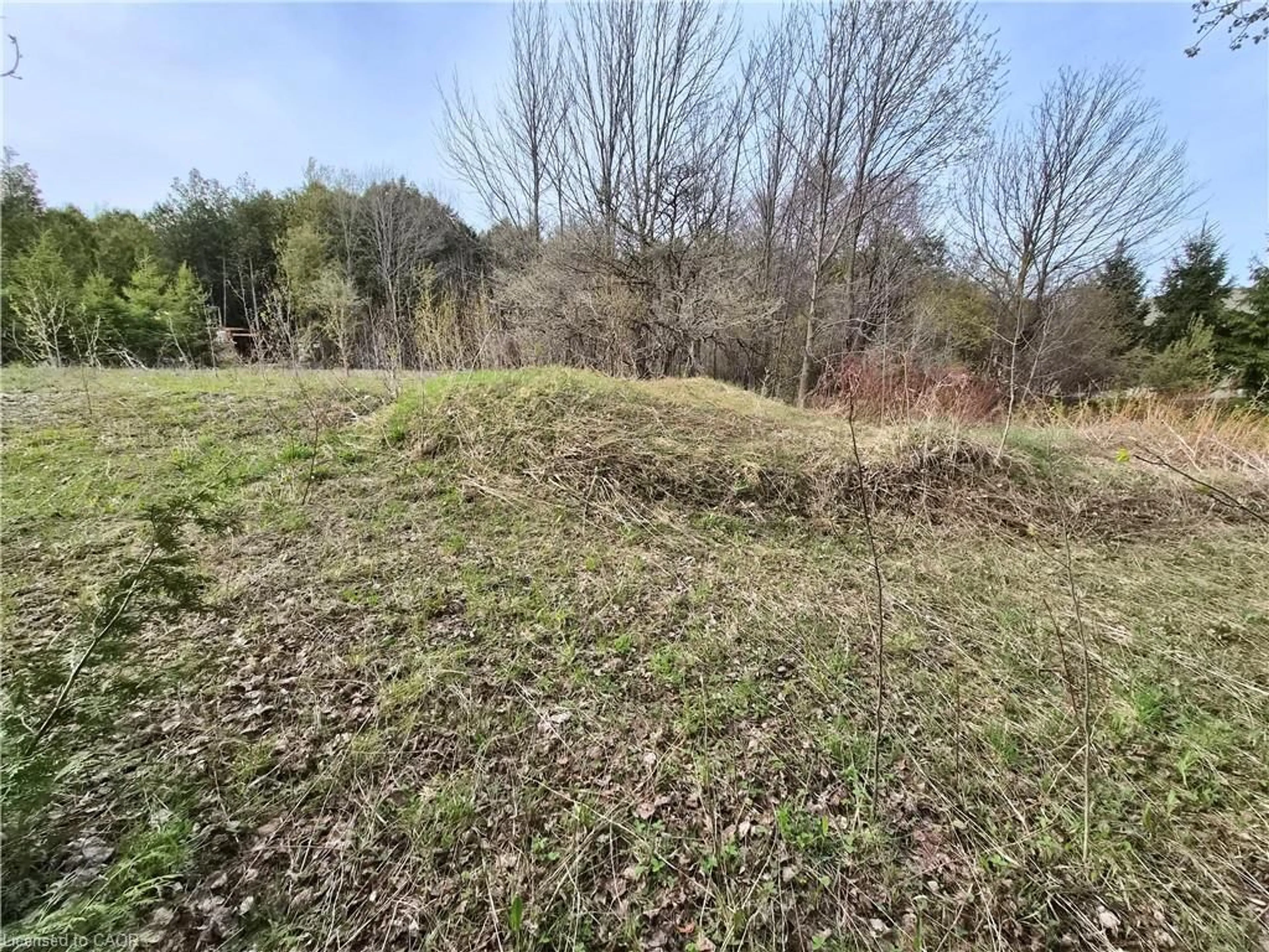 A pic from outside/outdoor area/front of a property/back of a property/a pic from drone, forest/trees view for 5618 5th Line, Palmerston Ontario N0G 2P0