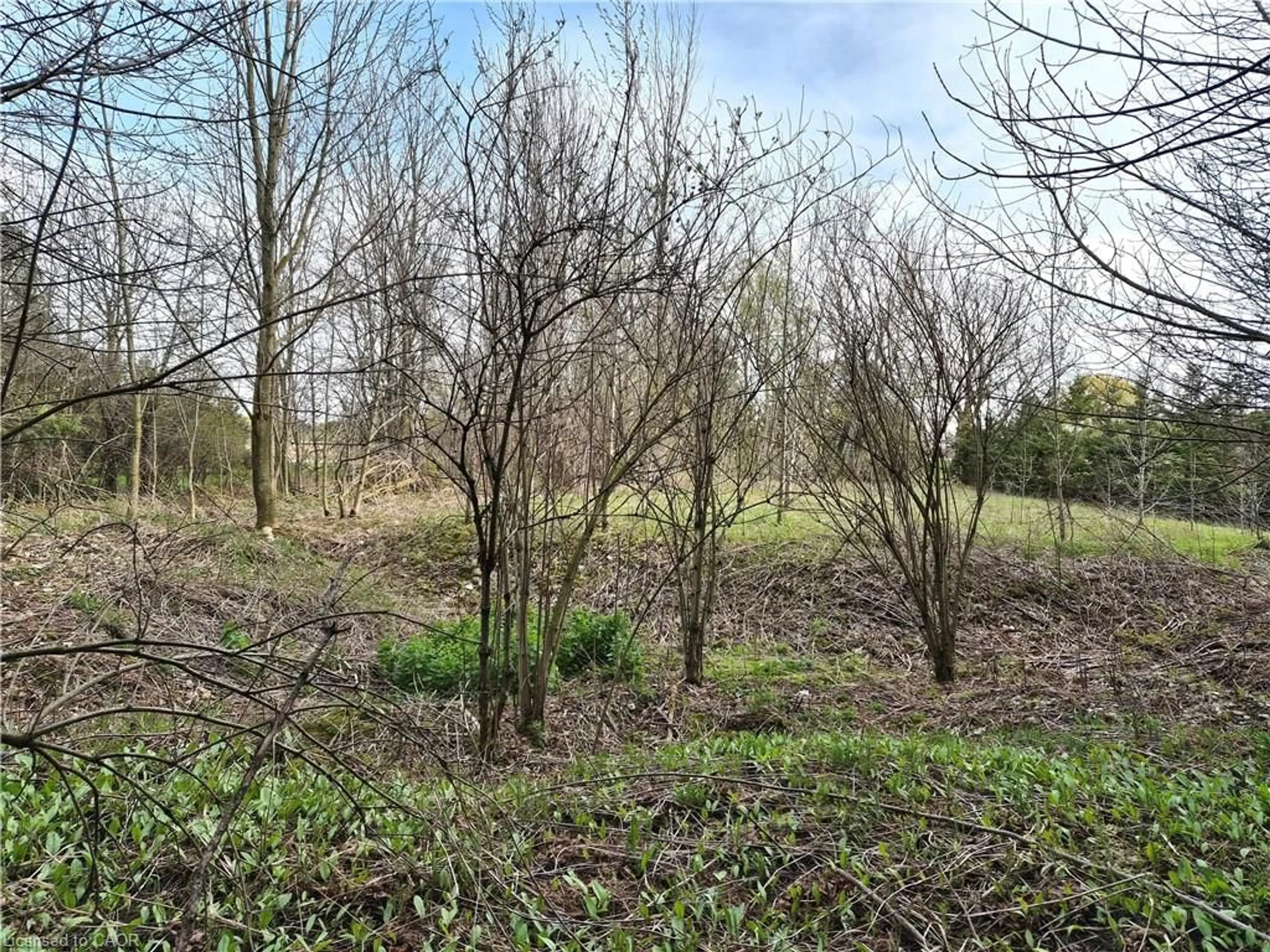 A pic from outside/outdoor area/front of a property/back of a property/a pic from drone, forest/trees view for 5618 5th Line, Palmerston Ontario N0G 2P0