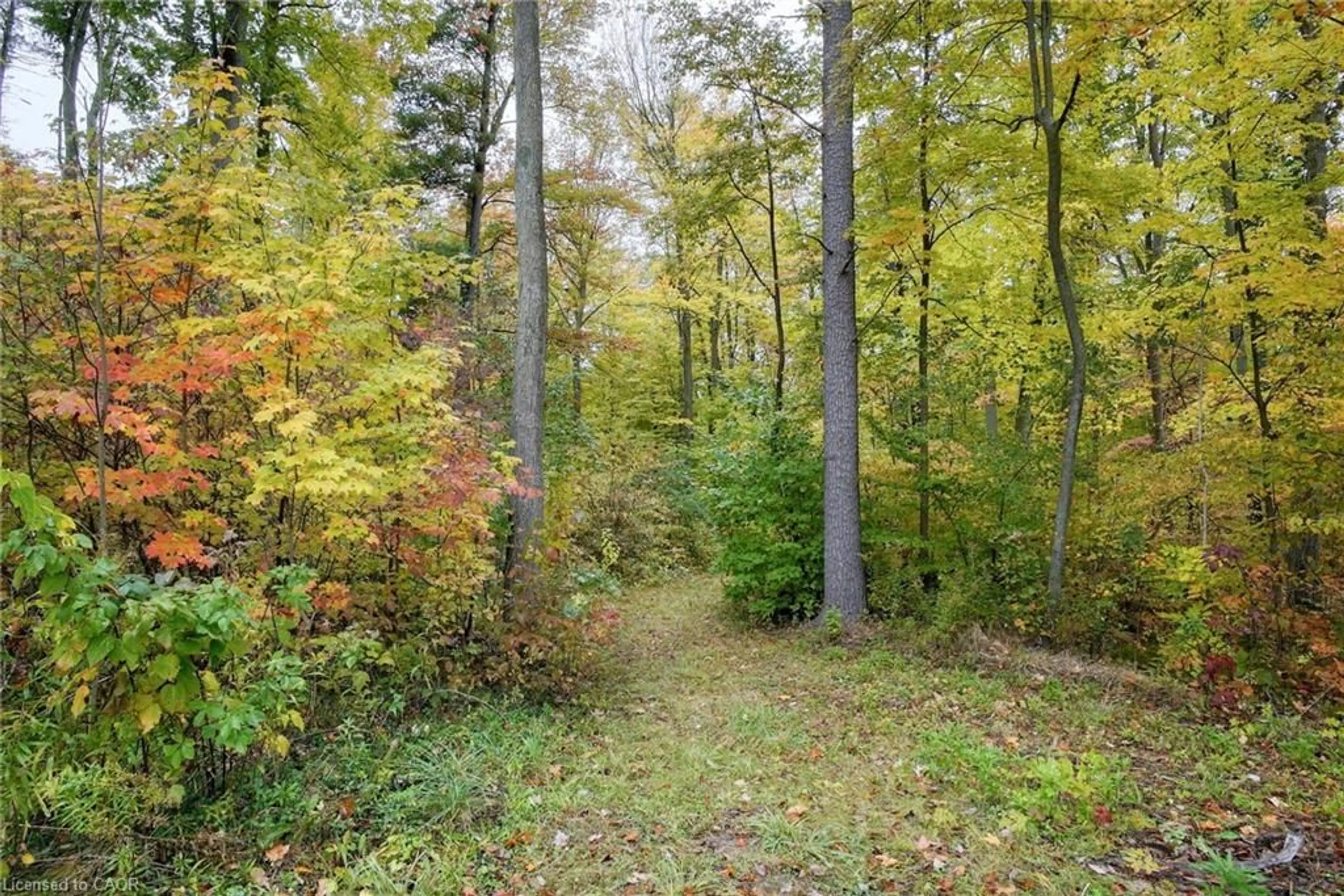 Unknown for 1392 Wrigley Rd, Ayr Ontario N0B 1E0