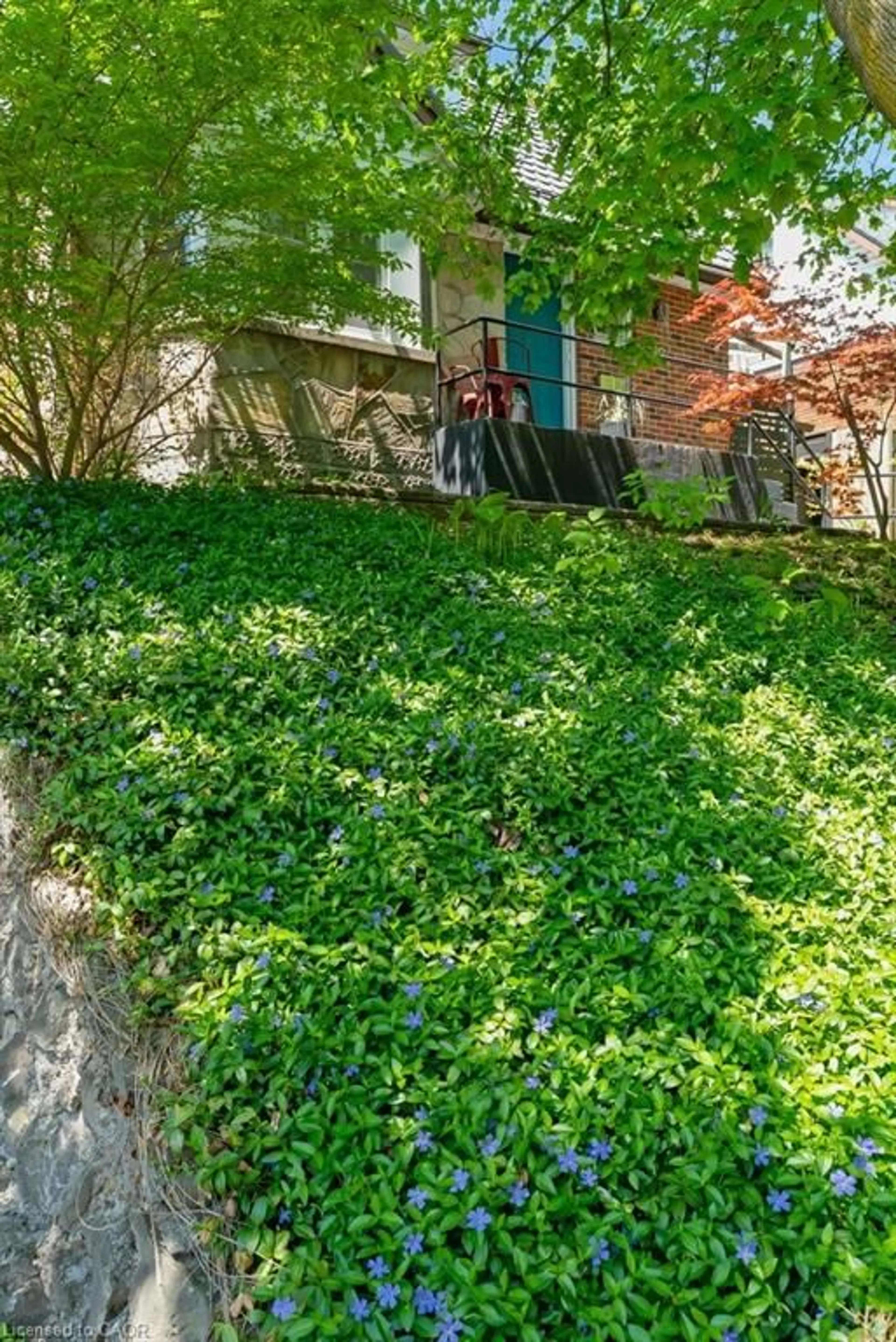 A pic from outside/outdoor area/front of a property/back of a property/a pic from drone, street for 20 Ramore St, Cambridge Ontario N1S 2P8