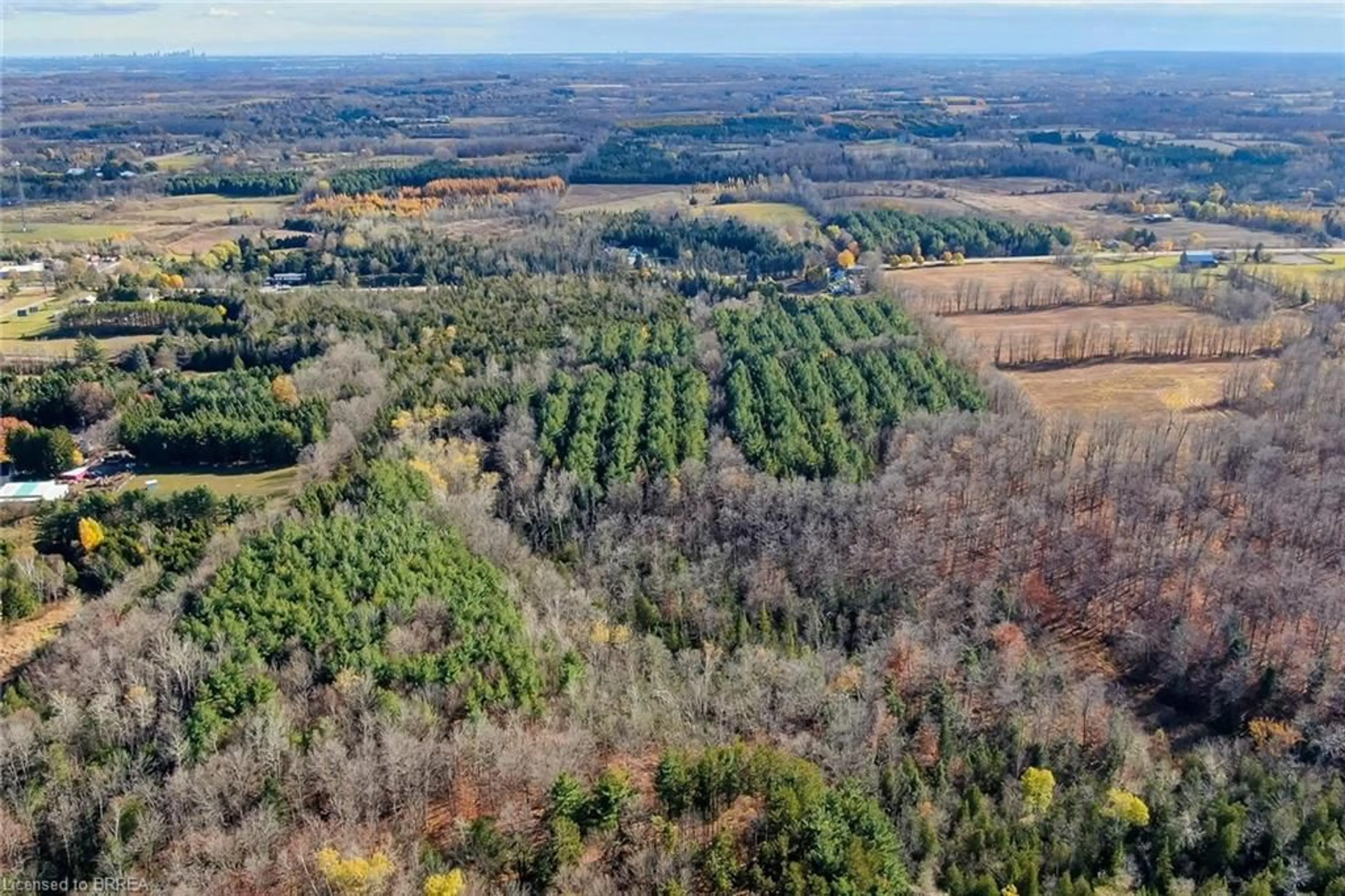 A pic from outside/outdoor area/front of a property/back of a property/a pic from drone, forest/trees view for 9328 Wellington Road 50 Rd, Erin Ontario N0B 1T0
