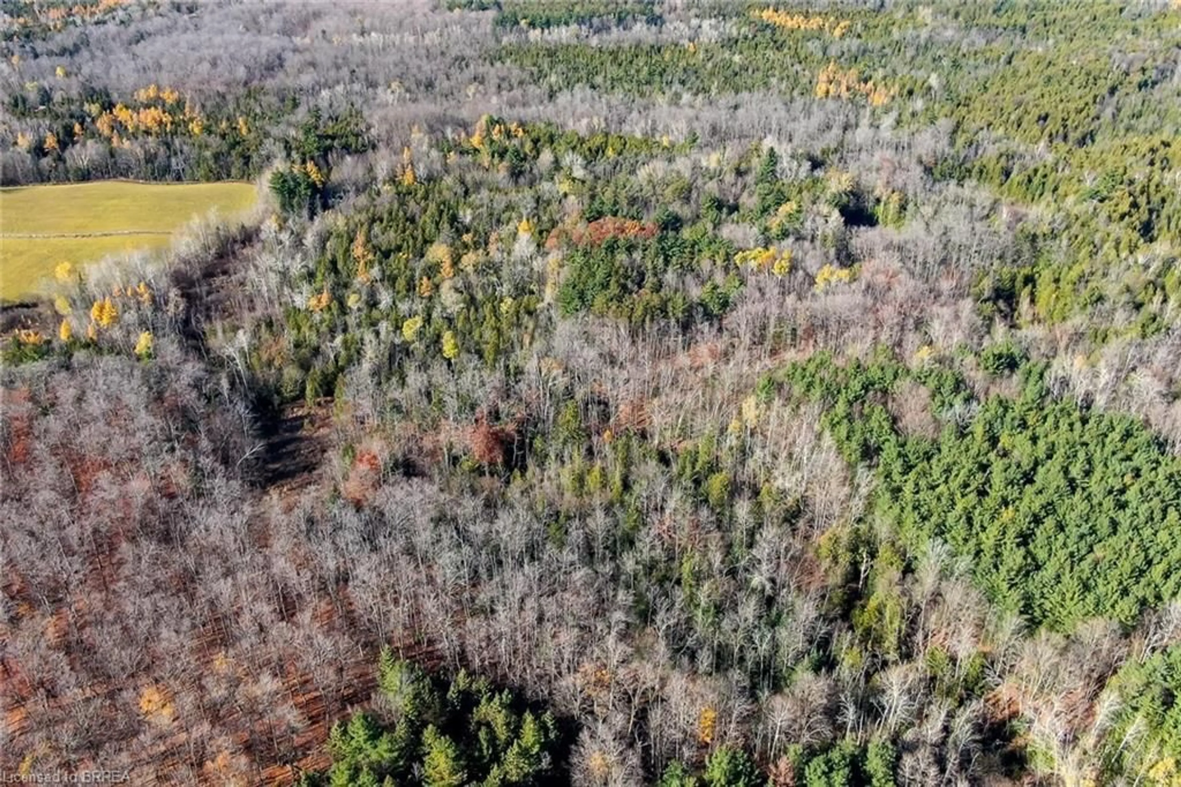 A pic from outside/outdoor area/front of a property/back of a property/a pic from drone, forest/trees view for 9328 Wellington Road 50 Rd, Erin Ontario N0B 1T0