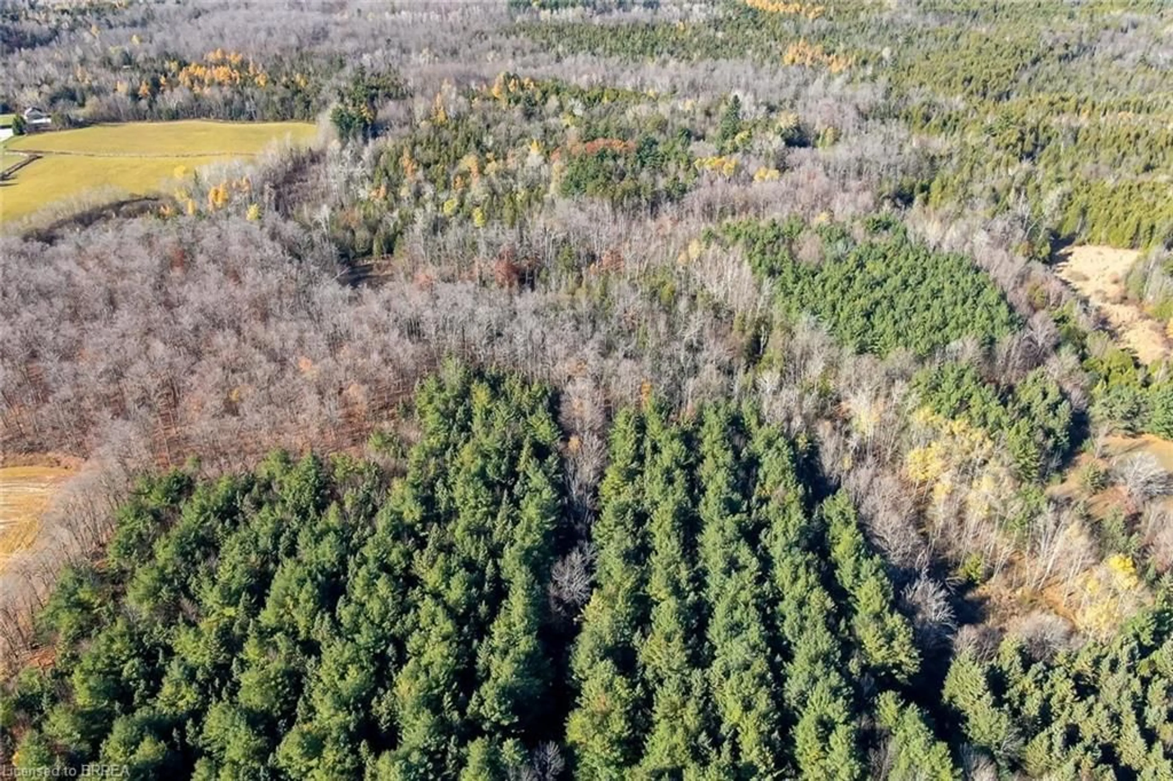 A pic from outside/outdoor area/front of a property/back of a property/a pic from drone, forest/trees view for 9328 Wellington Road 50 Rd, Erin Ontario N0B 1T0