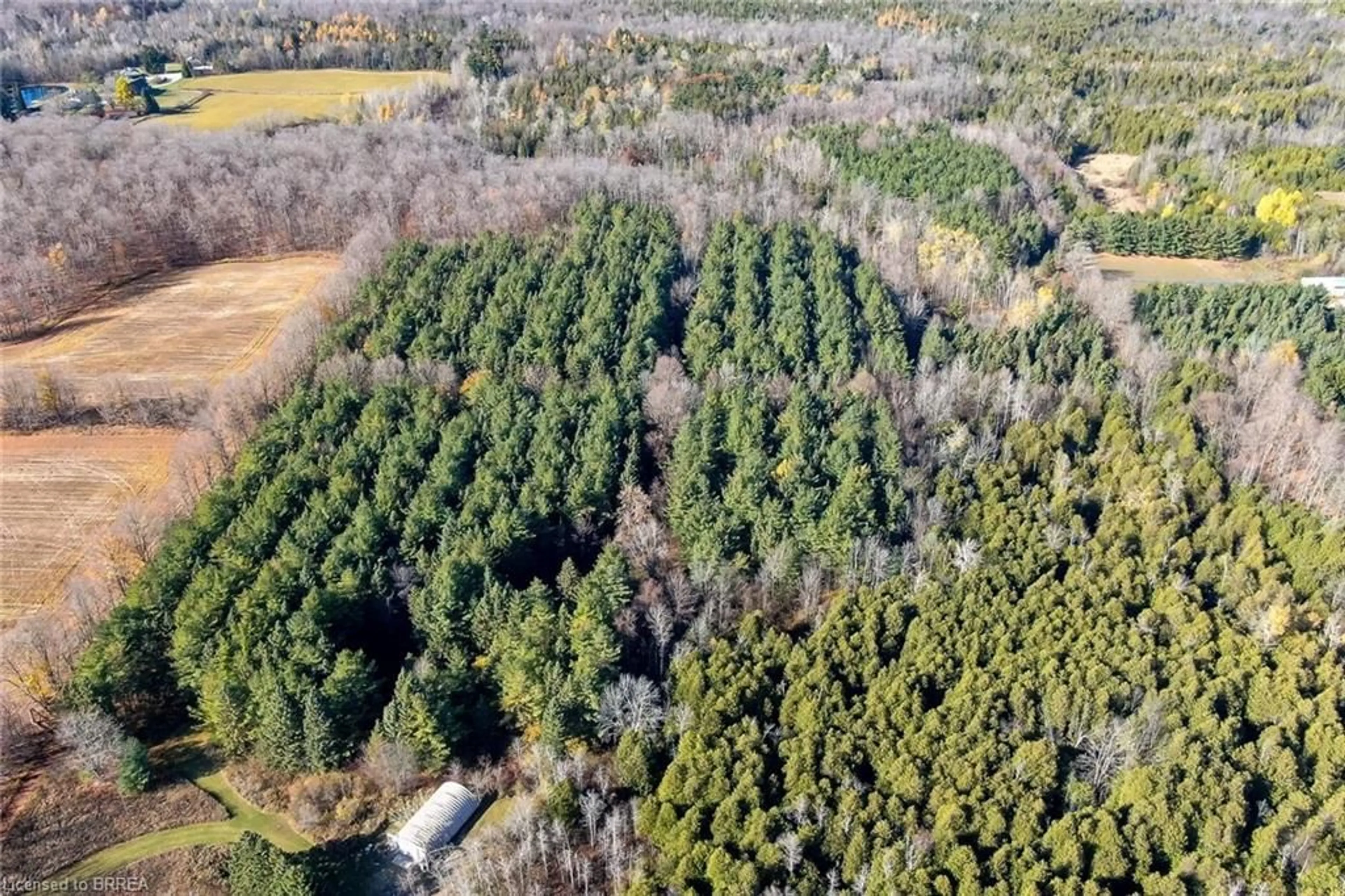 A pic from outside/outdoor area/front of a property/back of a property/a pic from drone, forest/trees view for 9328 Wellington Road 50 Rd, Erin Ontario N0B 1T0