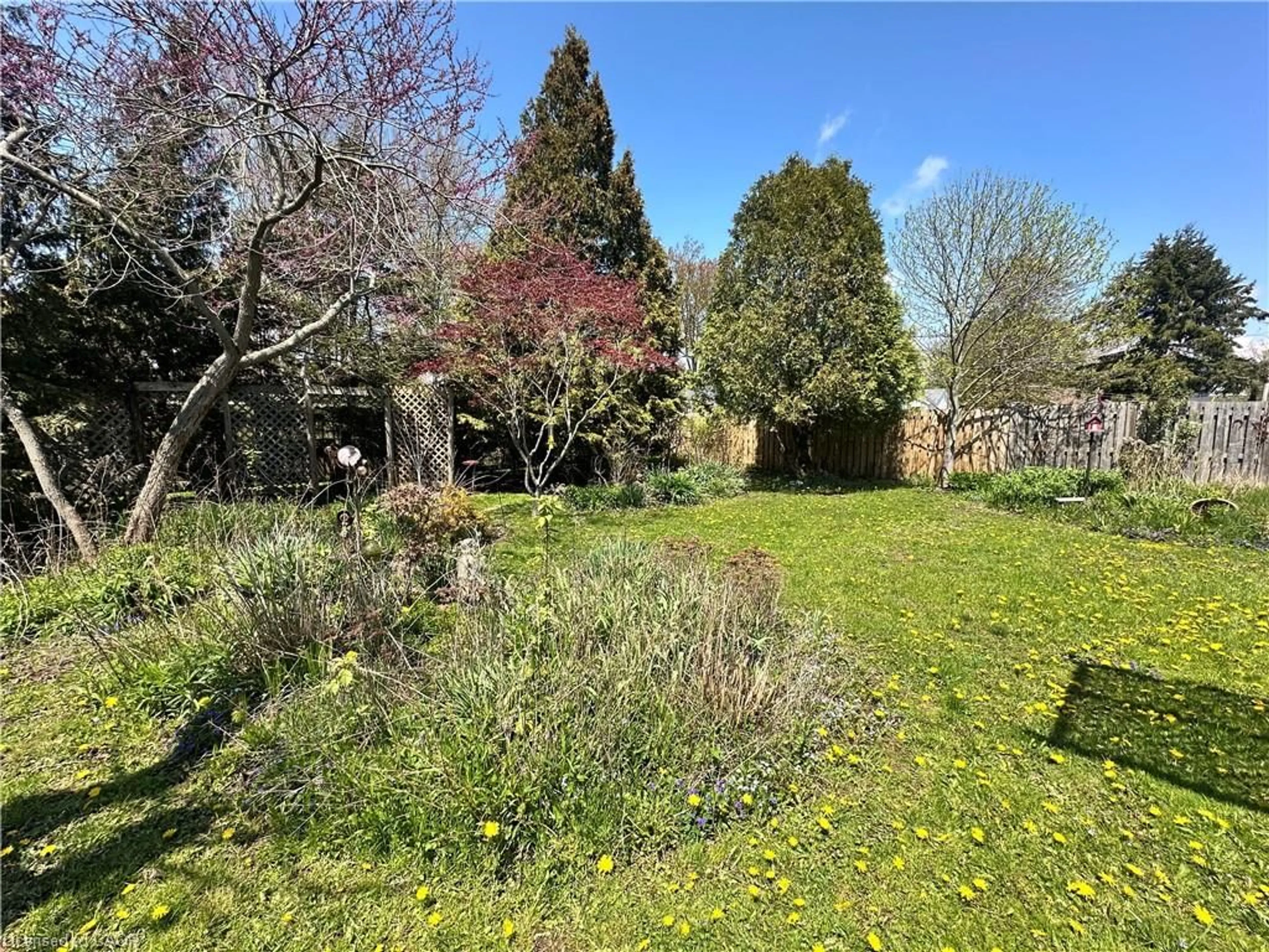 A pic from outside/outdoor area/front of a property/back of a property/a pic from drone, forest/trees view for 618 Pine St, Dunnville Ontario N1A 2M2