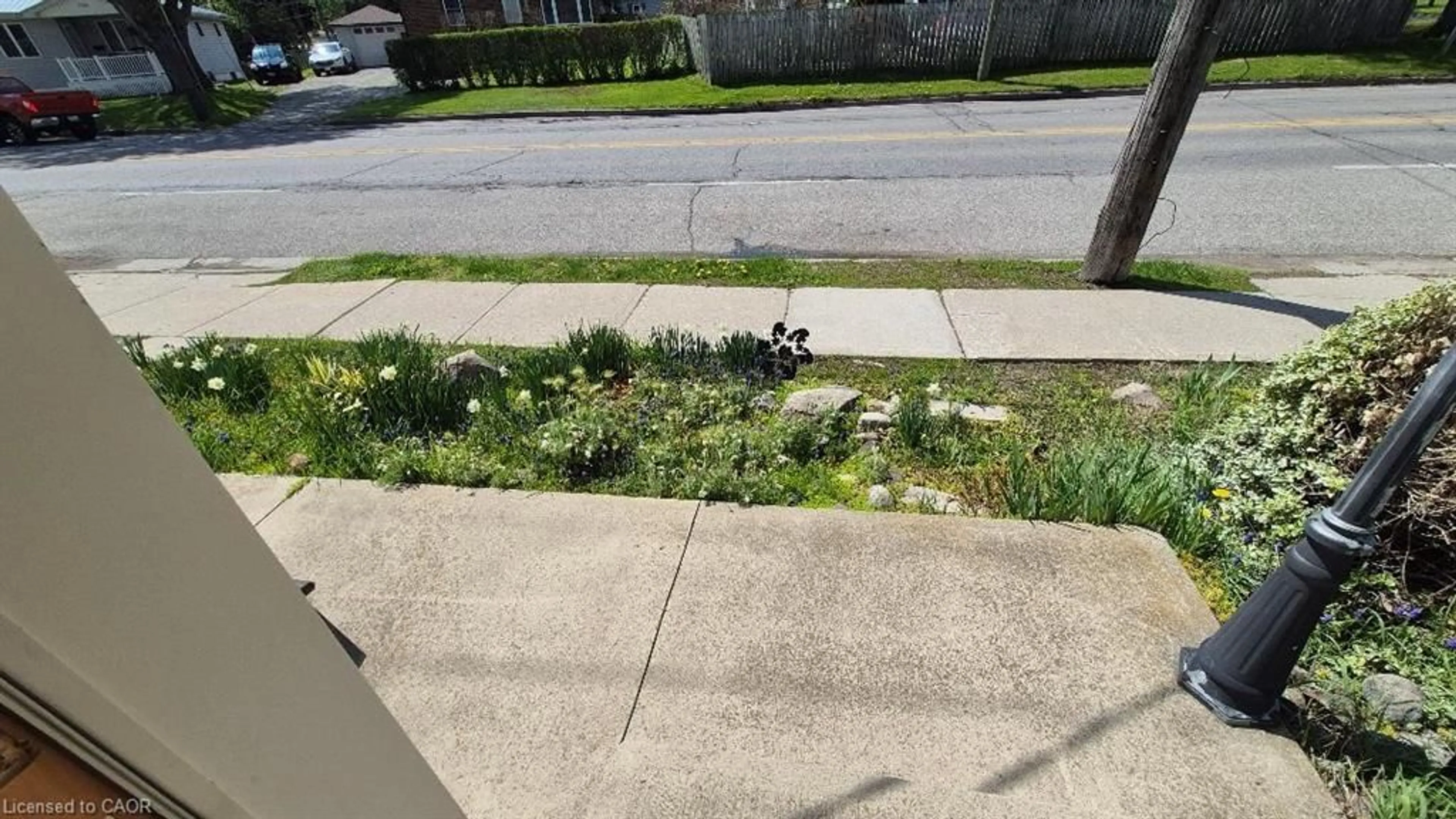 A pic from outside/outdoor area/front of a property/back of a property/a pic from drone, street for 257 Cedar St, Simcoe Ontario N3Y 2H8