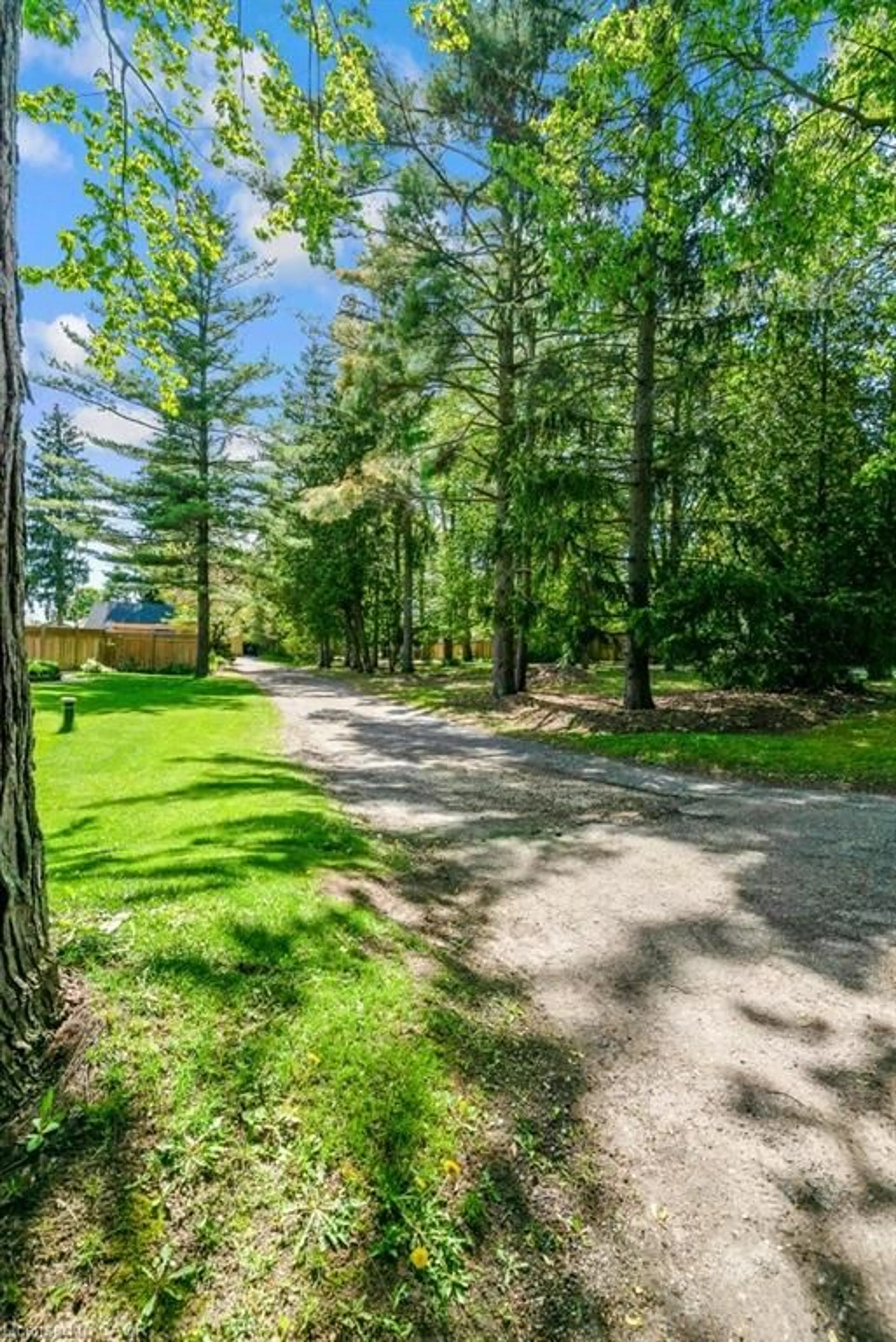 A pic from outside/outdoor area/front of a property/back of a property/a pic from drone, forest/trees view for 91 Limerick Dr, Kitchener Ontario N2P 2G9