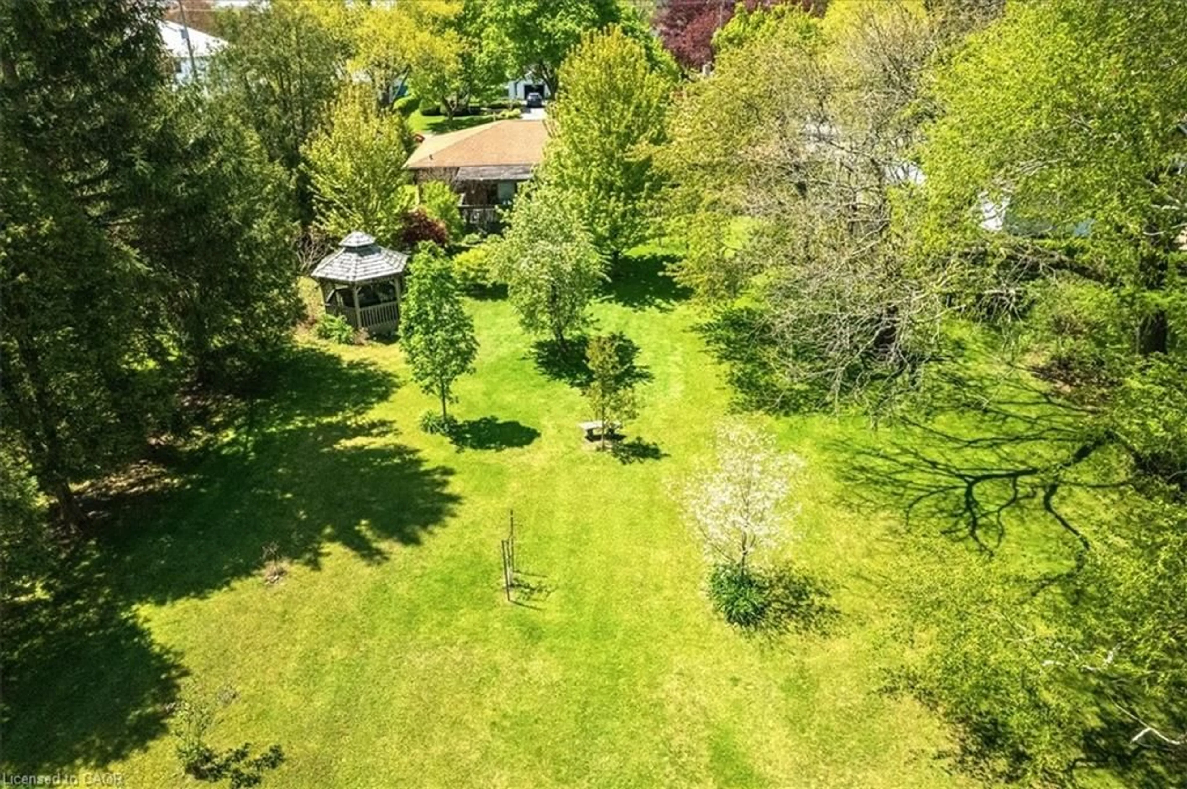 A pic from outside/outdoor area/front of a property/back of a property/a pic from drone, forest/trees view for 13 Payne Ave, Simcoe Ontario N3Y 4C2
