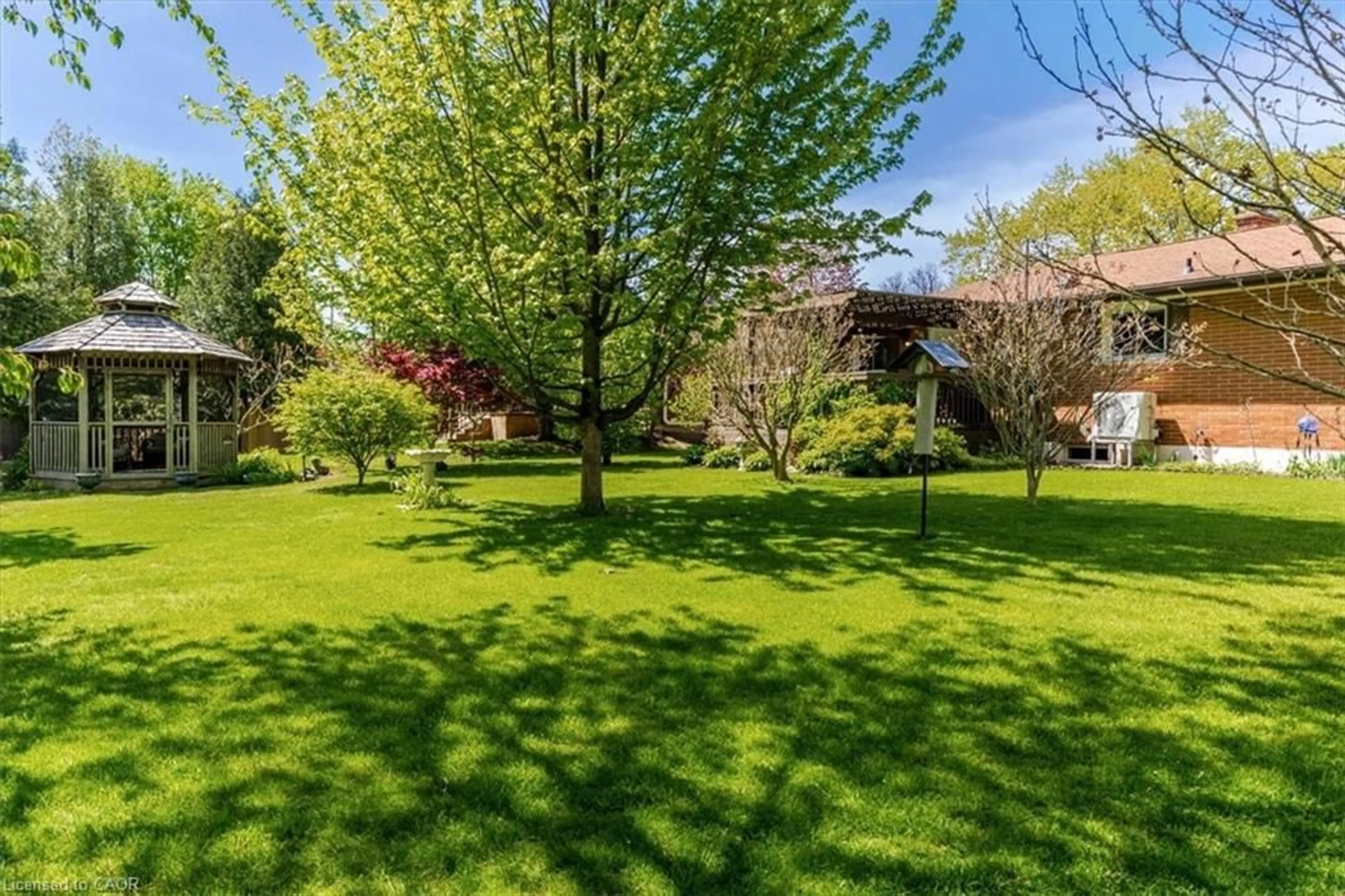 Patio, forest/trees view for 13 Payne Ave, Simcoe Ontario N3Y 4C2