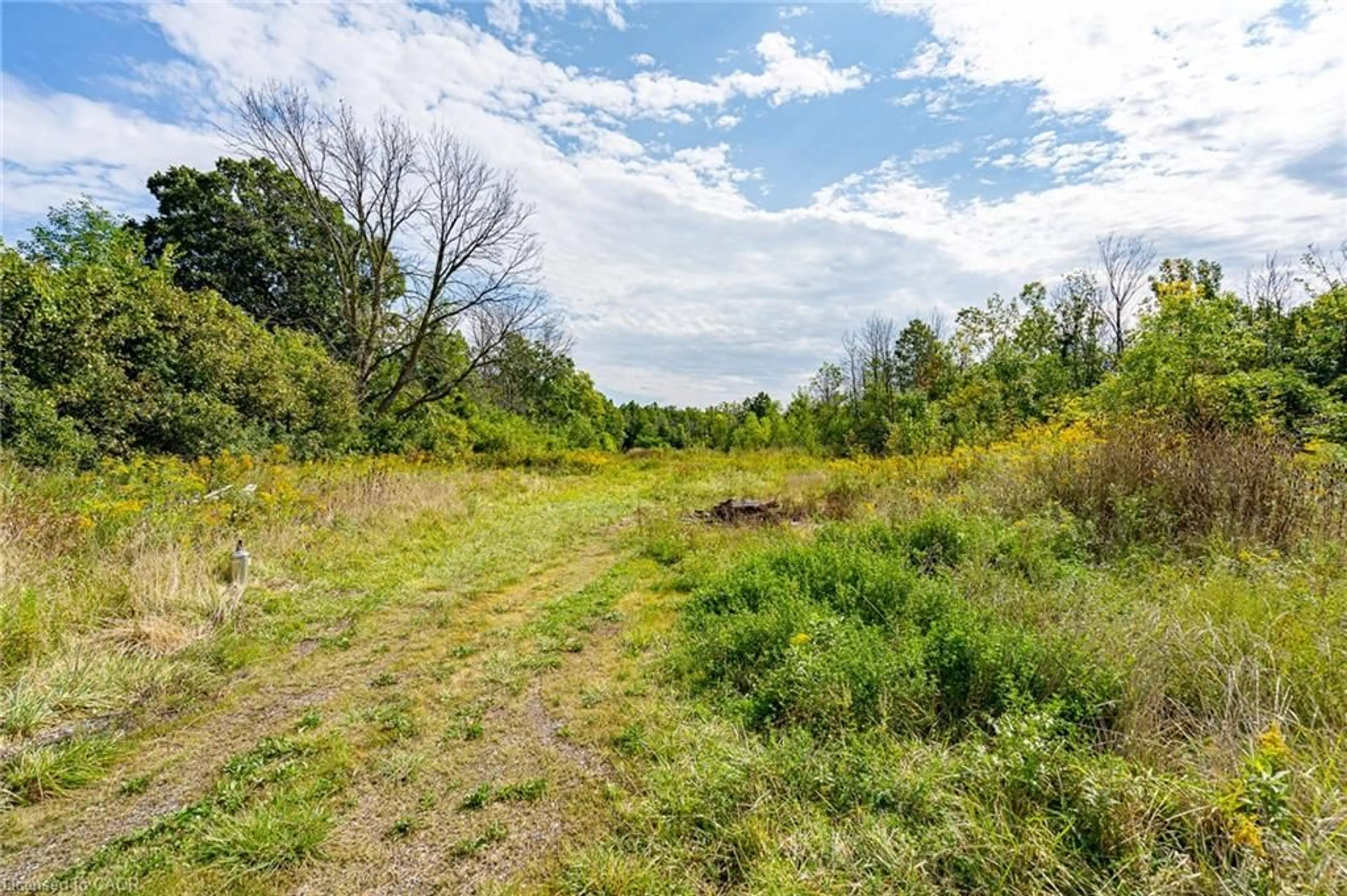 A pic from outside/outdoor area/front of a property/back of a property/a pic from drone, forest/trees view for 487 Four Mile Creek Rd, Niagara-on-the-Lake Ontario L0S 1J0