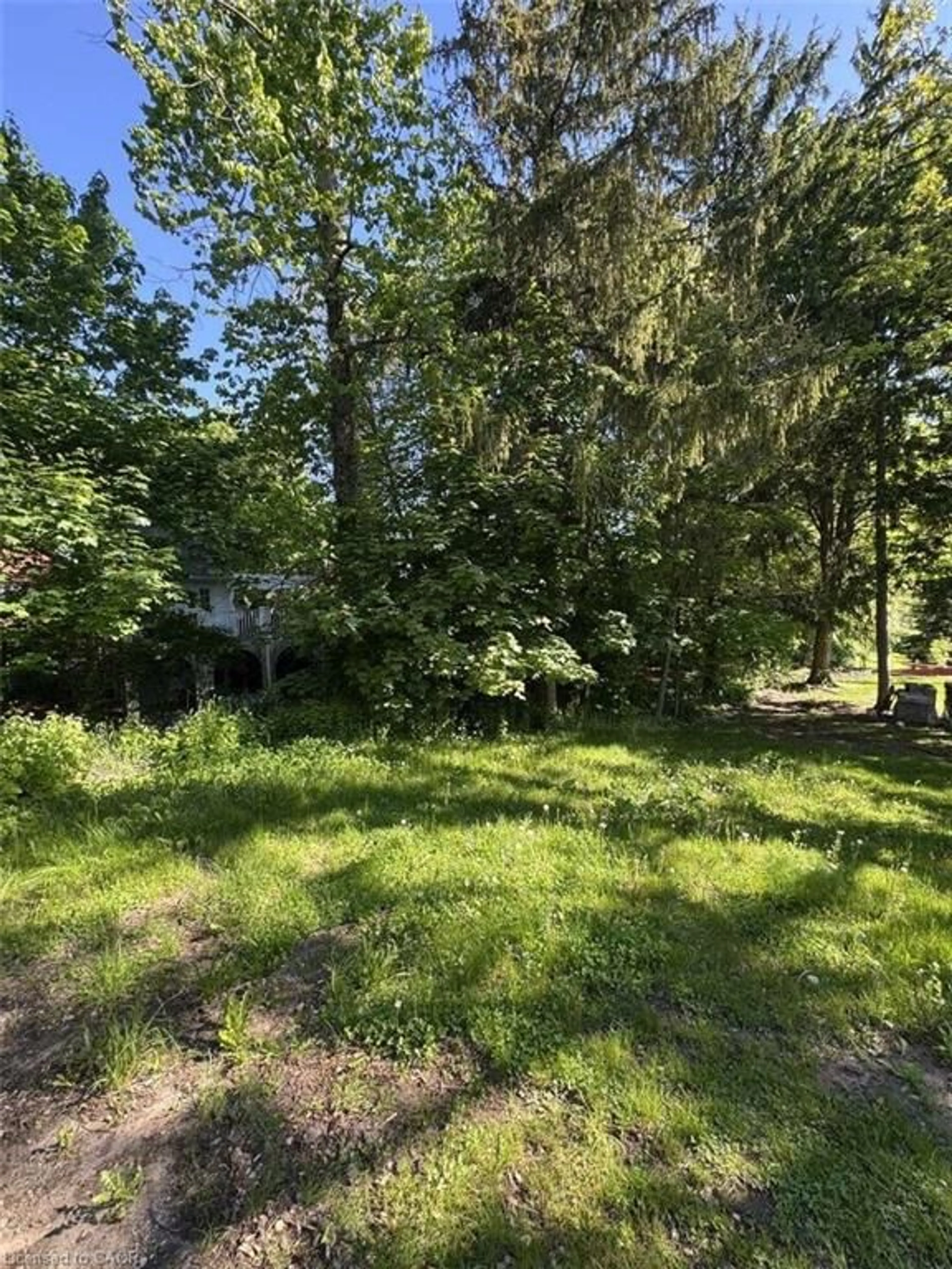 A pic from outside/outdoor area/front of a property/back of a property/a pic from drone, forest/trees view for 34 Mcdougall Rd, Waterloo Ontario N2L 2W5