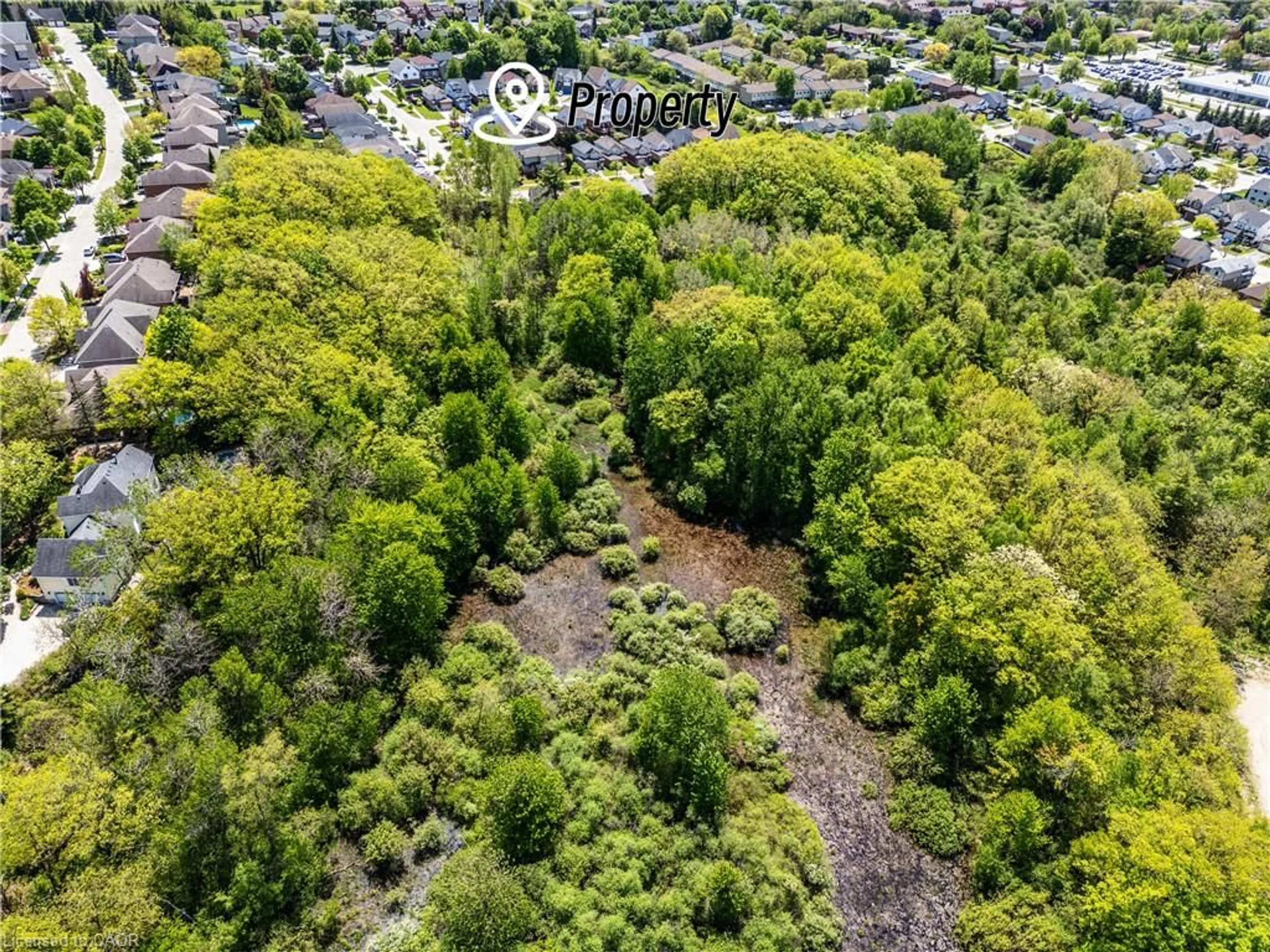 A pic from outside/outdoor area/front of a property/back of a property/a pic from drone, forest/trees view for 423 Veronica Dr, Kitchener Ontario N2A 4E9