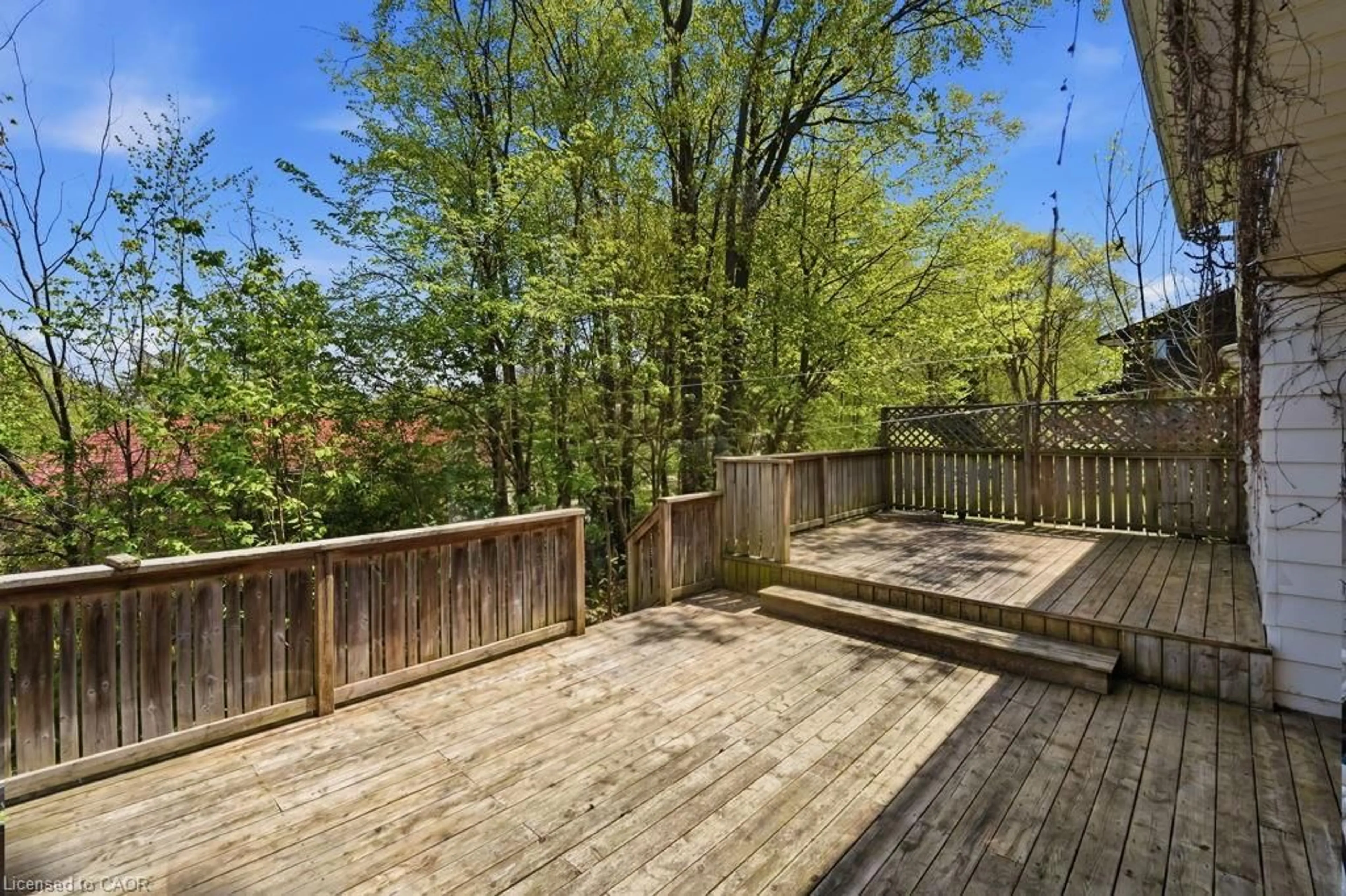 Patio, forest/trees view for 46 Birchcliff Ave, Kitchener Ontario N2M 4V6