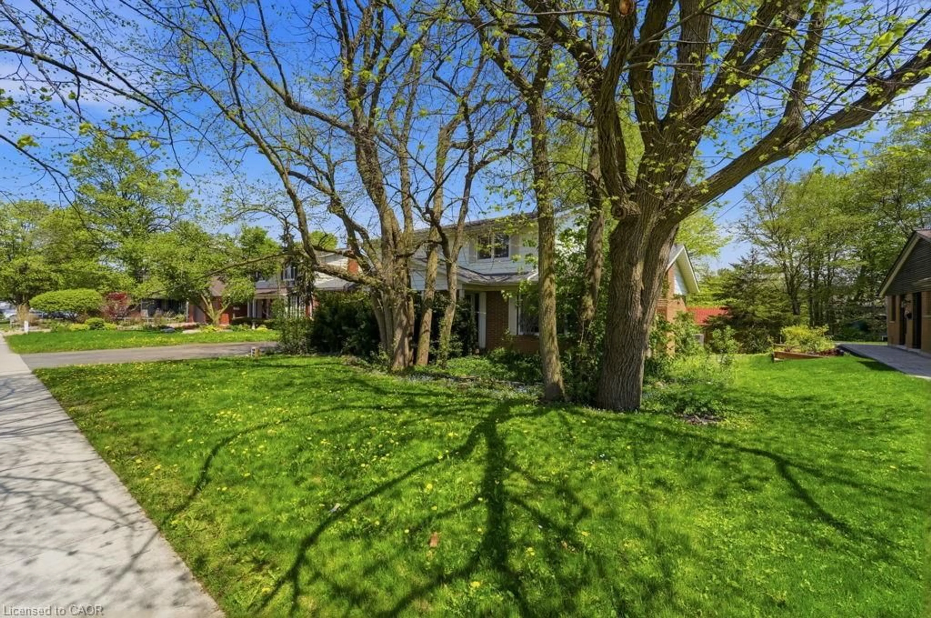 A pic from outside/outdoor area/front of a property/back of a property/a pic from drone, street for 46 Birchcliff Ave, Kitchener Ontario N2M 4V6