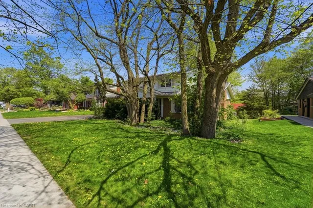 46 Birchcliff Ave, Kitchener 4