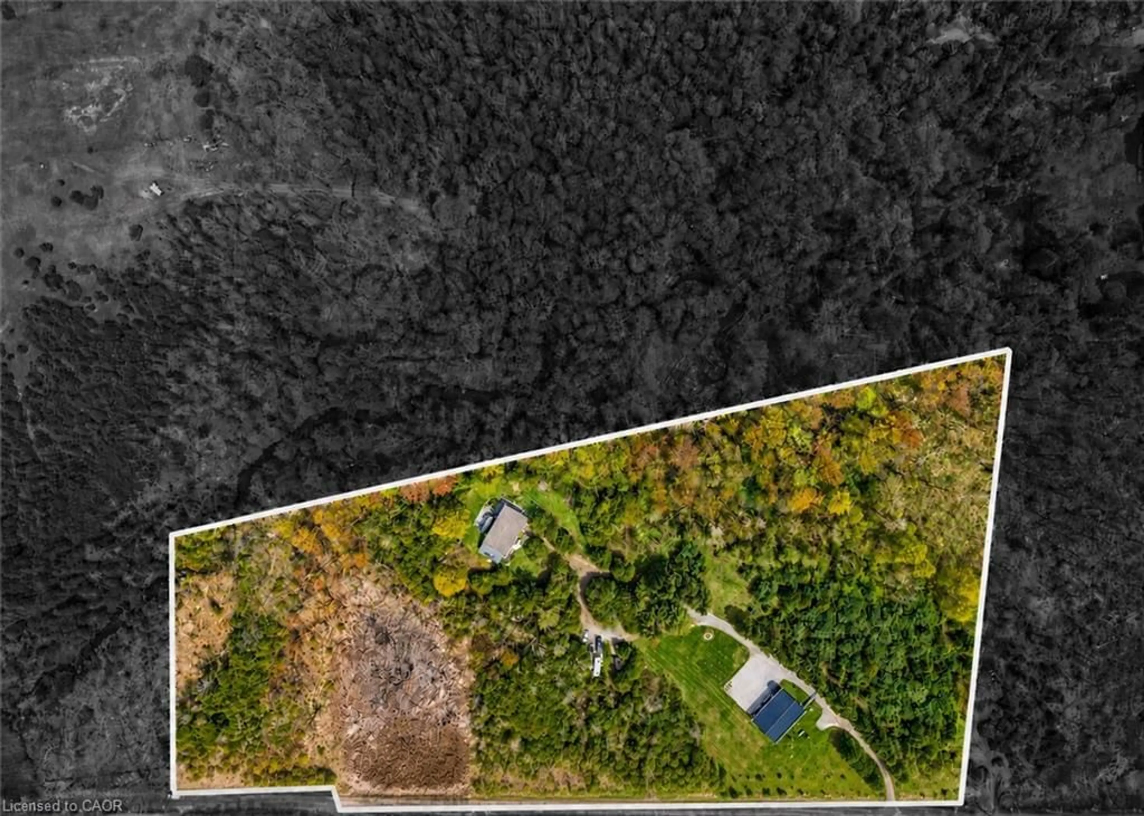 A pic from outside/outdoor area/front of a property/back of a property/a pic from drone, forest/trees view for 2092 Highway 6, Puslinch Ontario N0B 2J0
