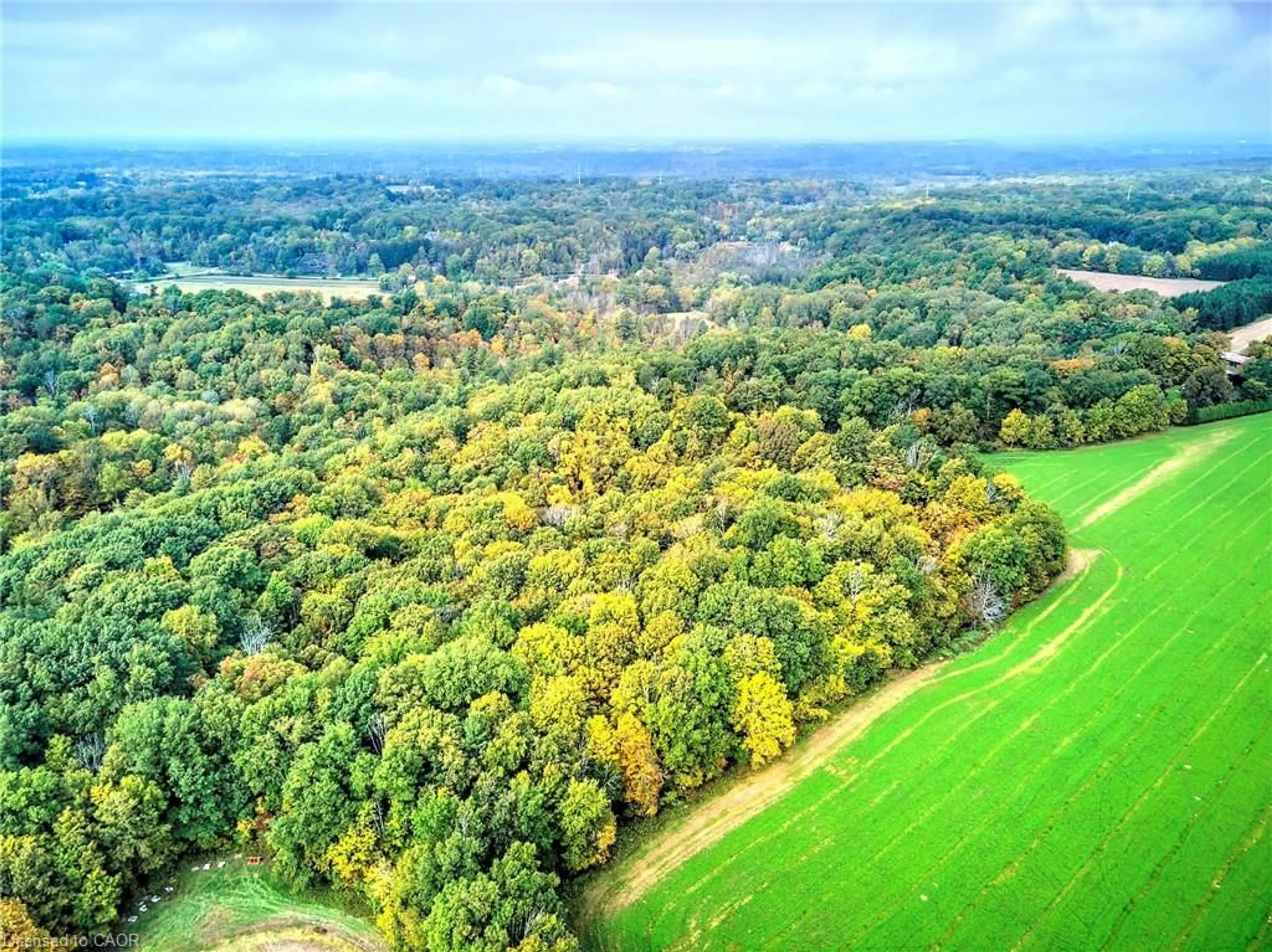 A pic from outside/outdoor area/front of a property/back of a property/a pic from drone, forest/trees view for 154&155 Lot, Thorold Ontario L0S 1E6