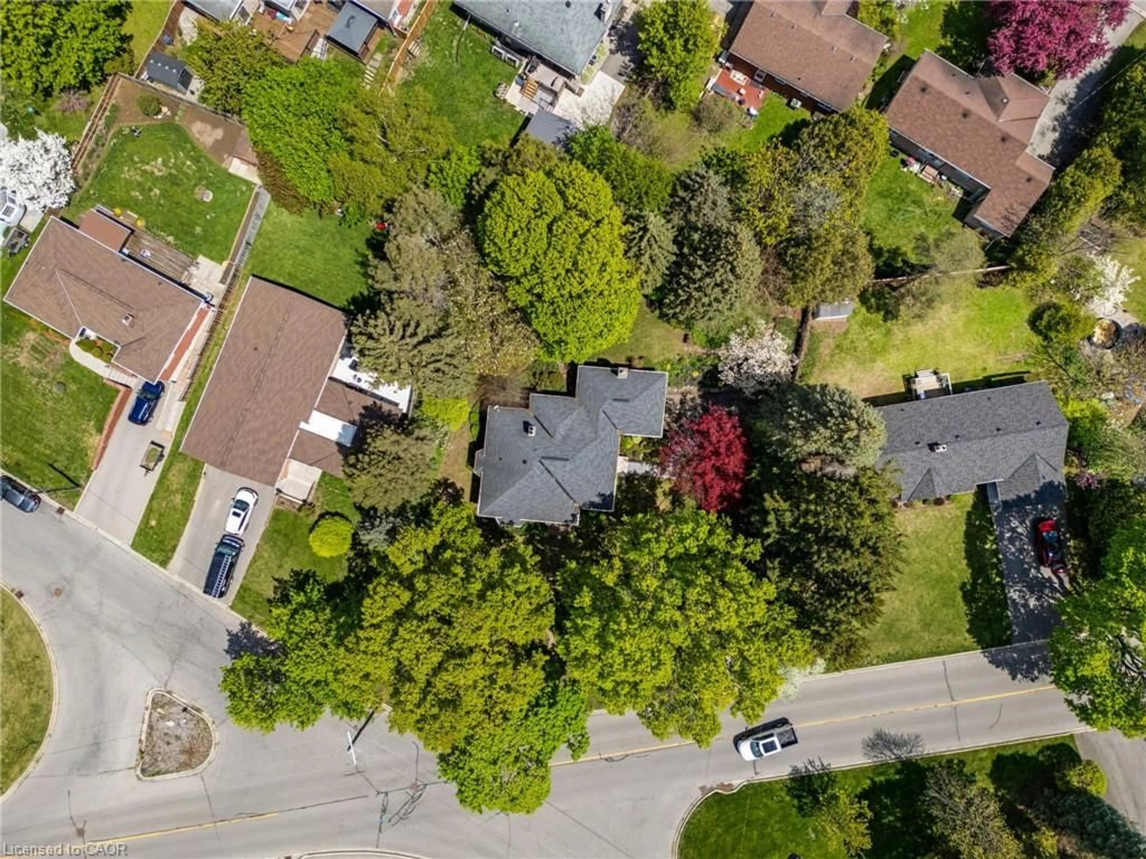 A pic from outside/outdoor area/front of a property/back of a property/a pic from drone, street for 133 Mccall Cres, Simcoe Ontario N3Y 2E2