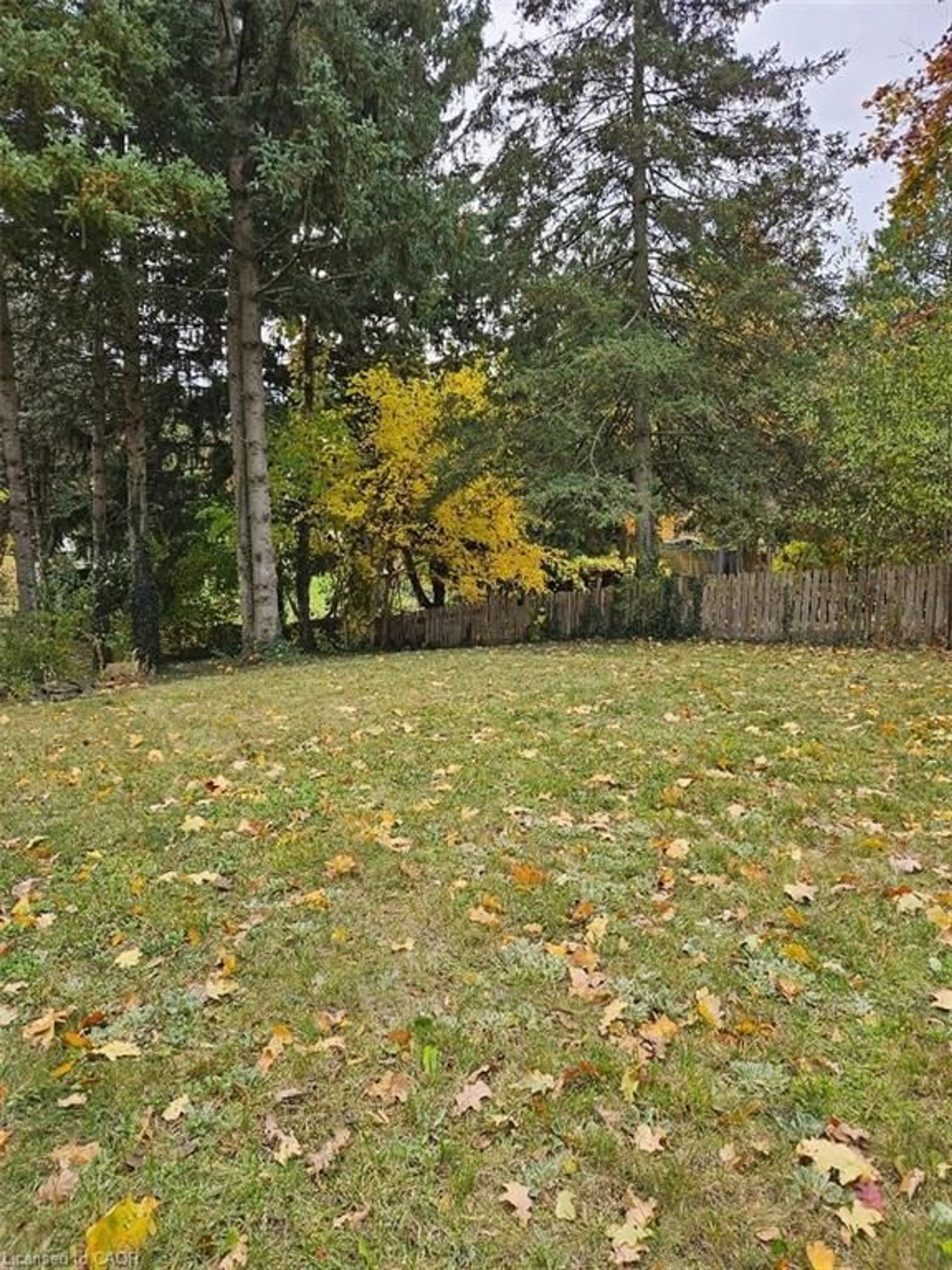 A pic from outside/outdoor area/front of a property/back of a property/a pic from drone, forest/trees view for 1154 Queens Blvd, Kitchener Ontario N2M 1C2